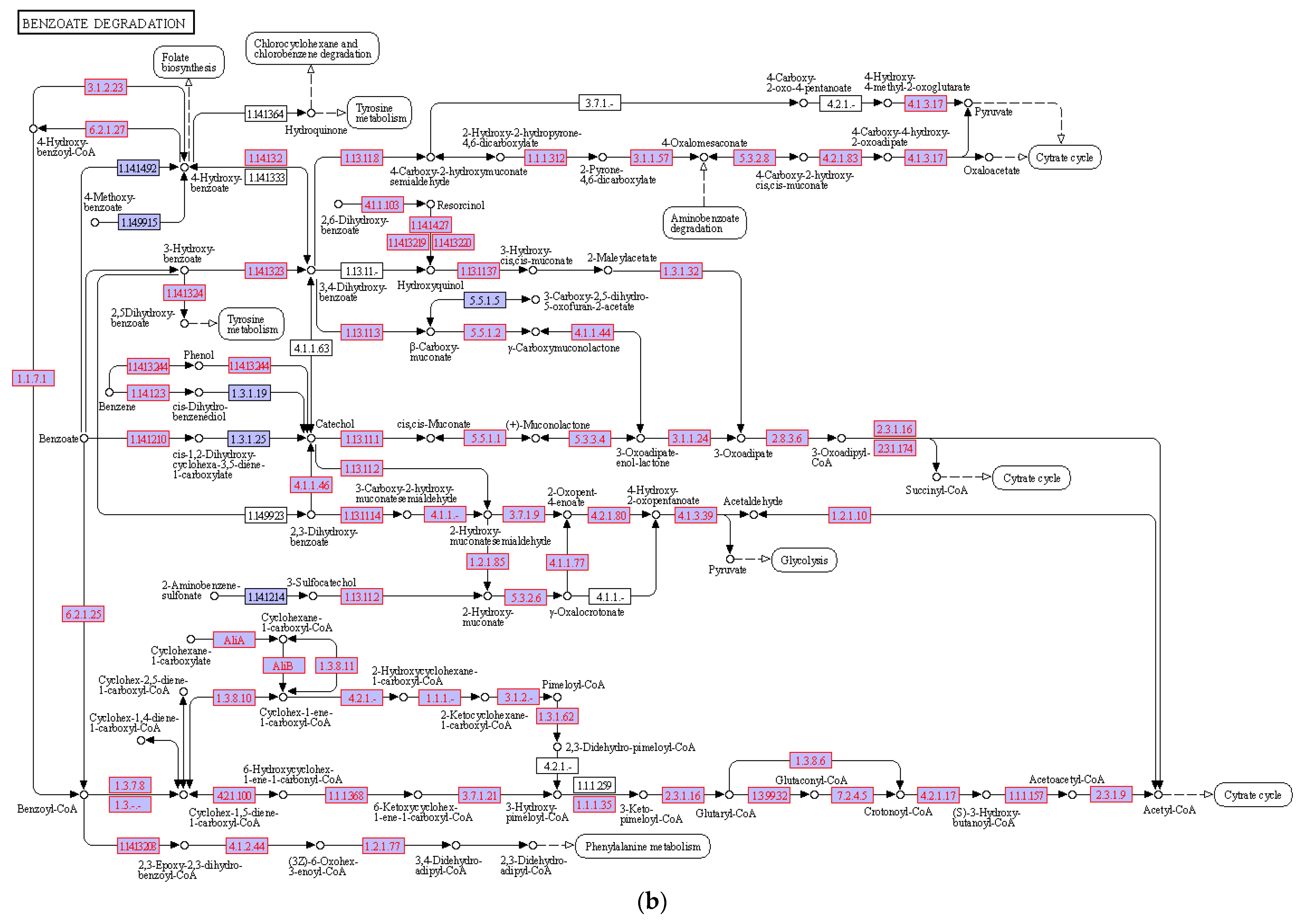 Sustainability 14 11455 g004b Sustainability 14 11455 g004b