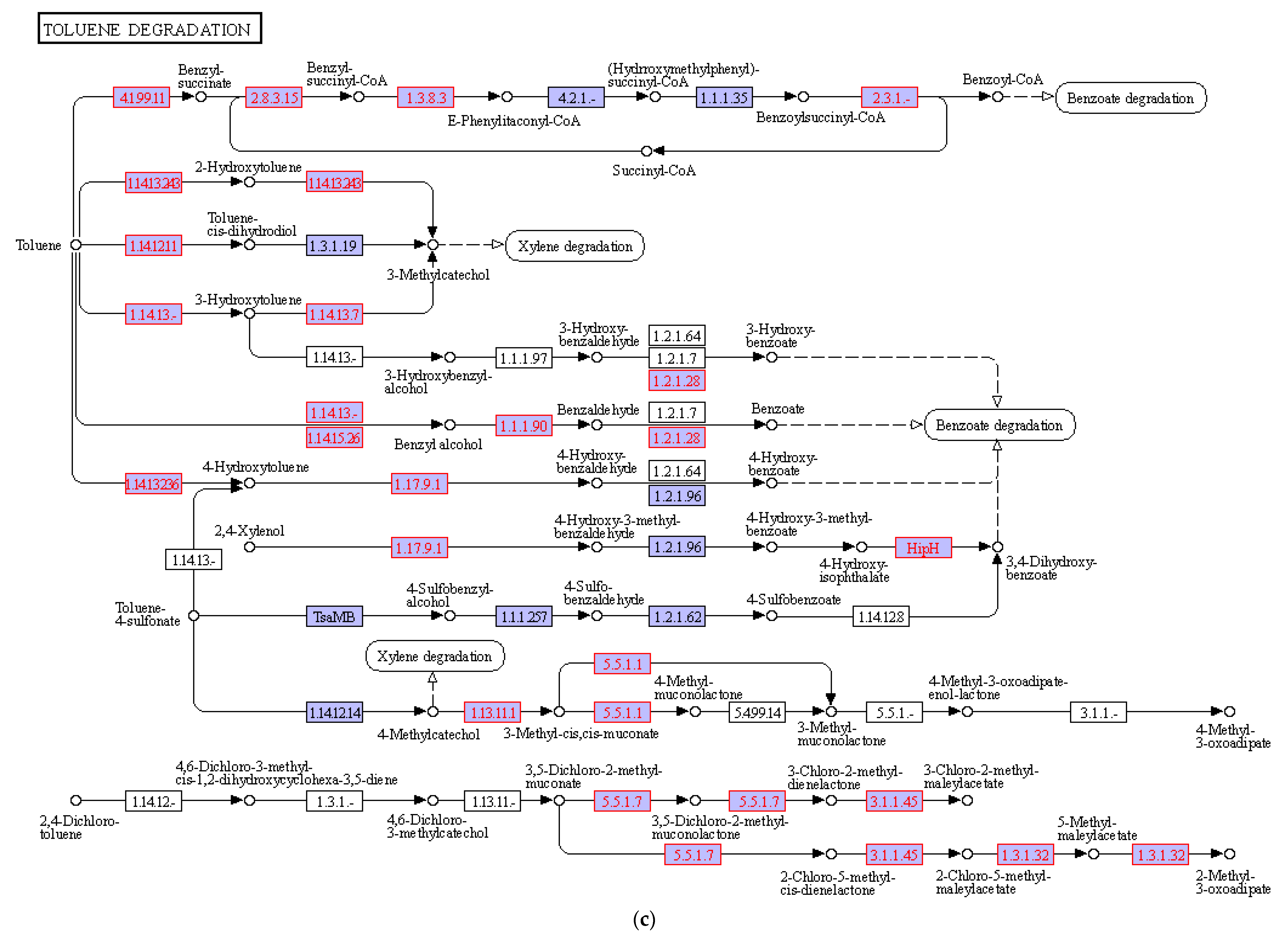 Sustainability 14 11455 g004c Sustainability 14 11455 g004c