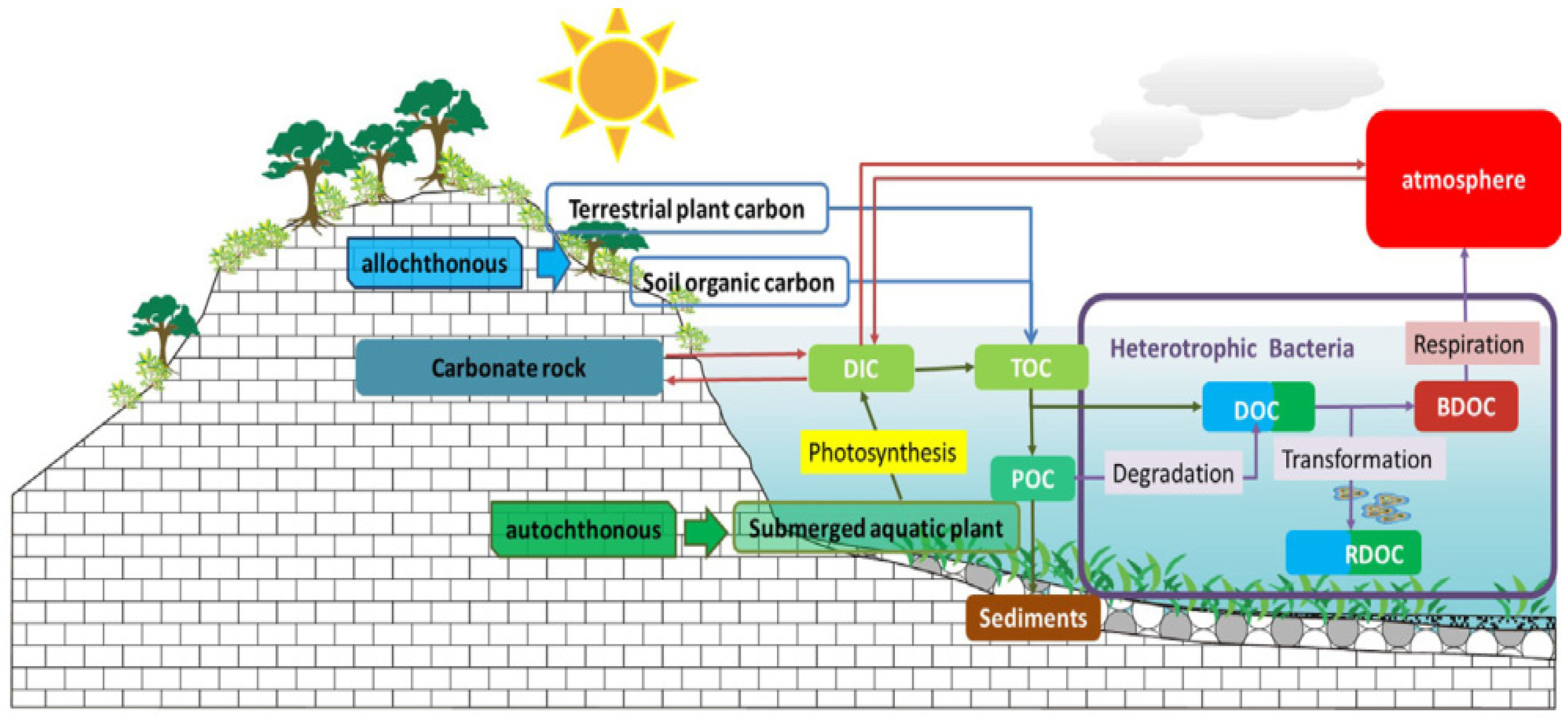 Sustainability 14 11518 g003