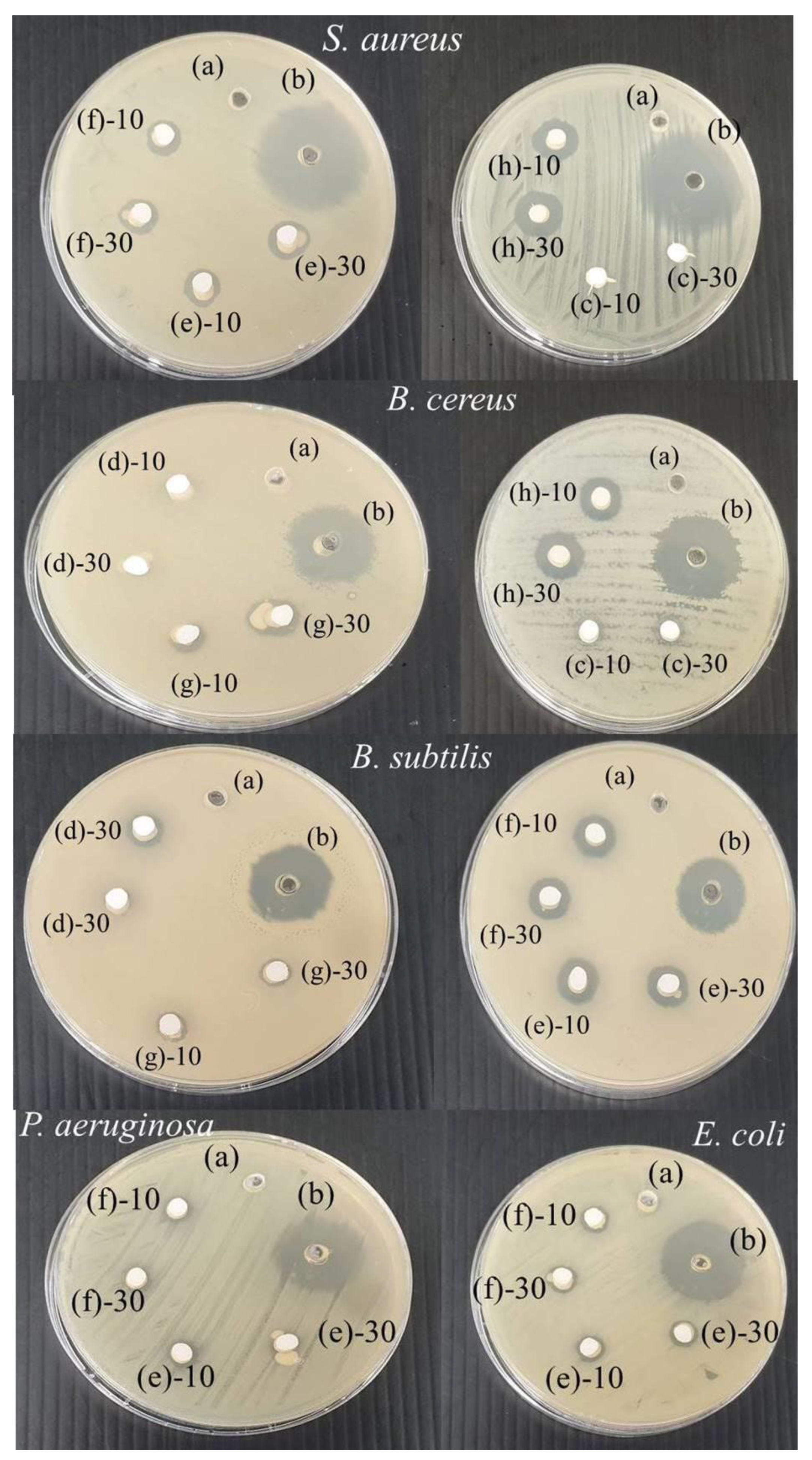 Sustainability 14 11756 g006
