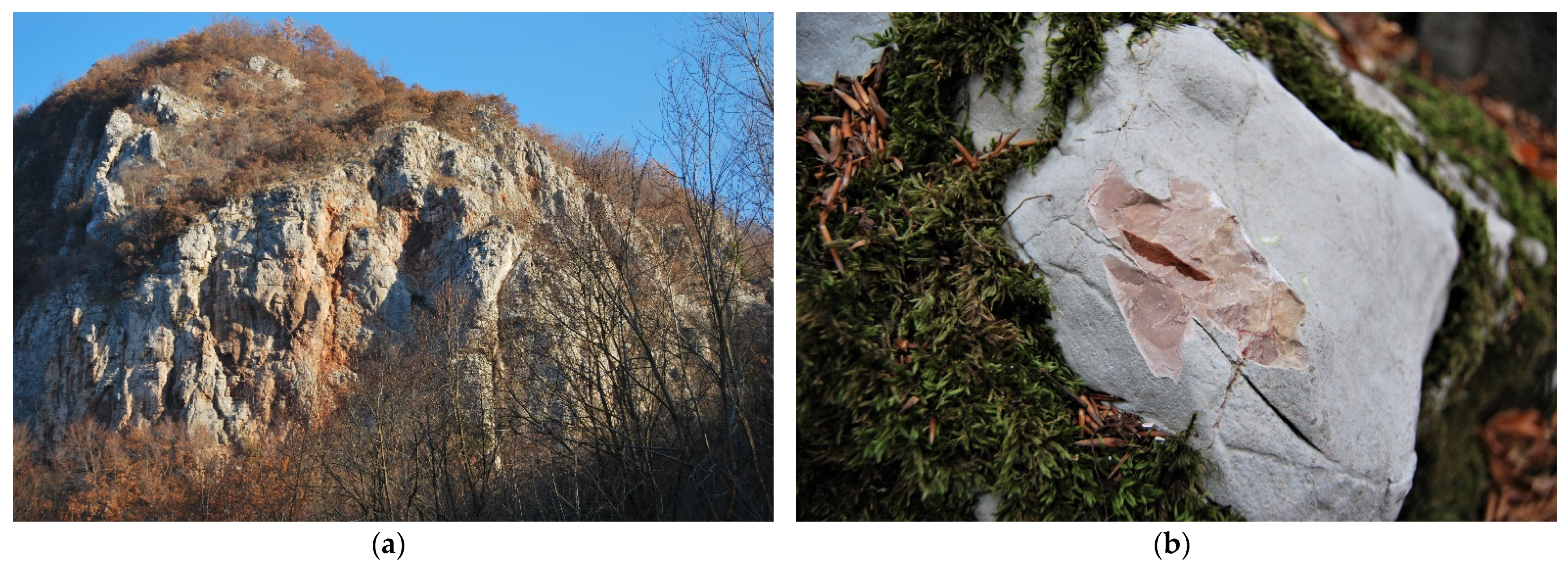 Sustainability | Free Full-Text | Historical Use of the Ashlar Limestone at  Piatra Ro&#537;ie Dacian Fortress; Interdisciplinary Approach in a World  Heritage Site | HTML