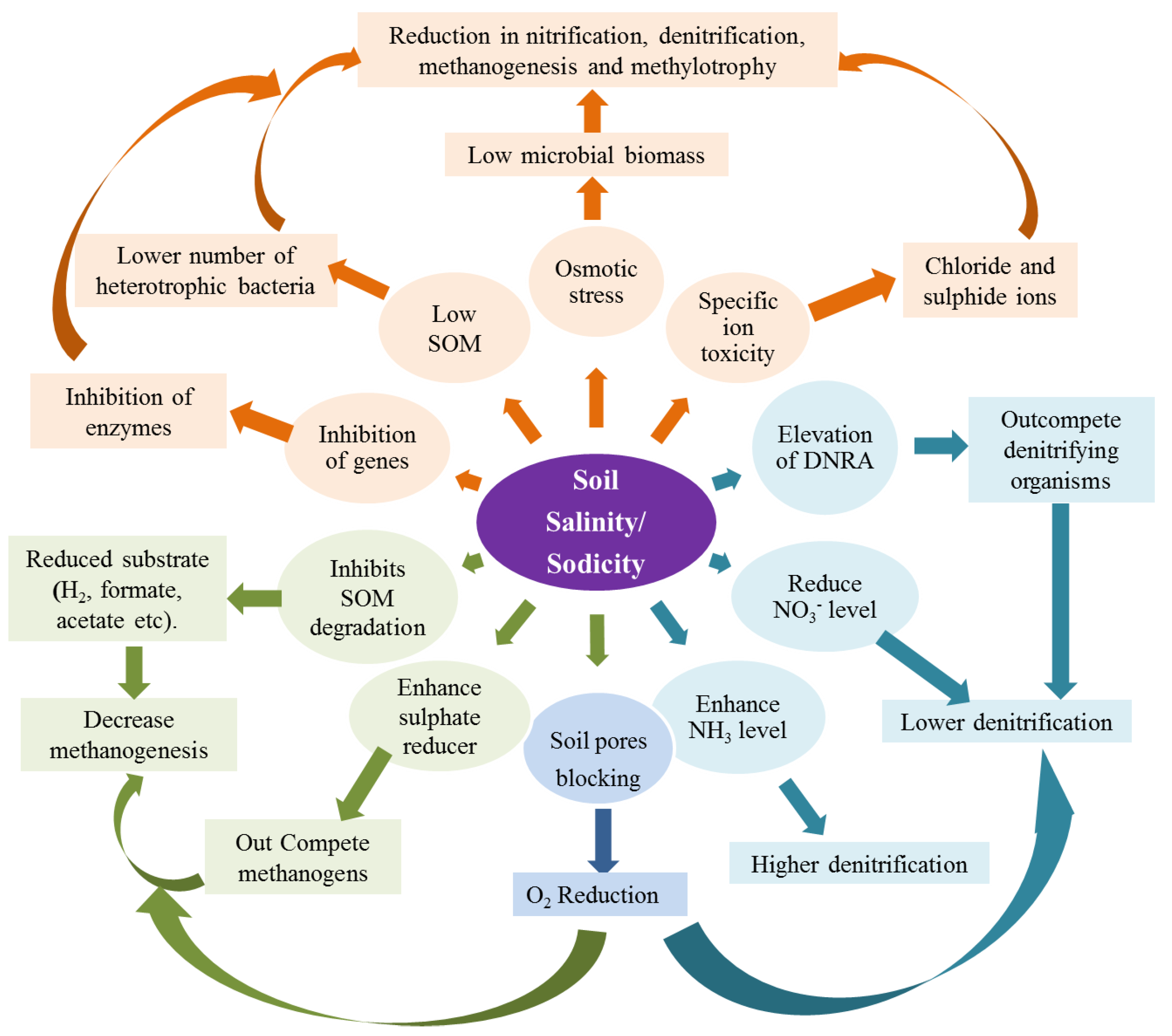 Sustainability 14 11876 g002 Sustainability 14 11876 g002