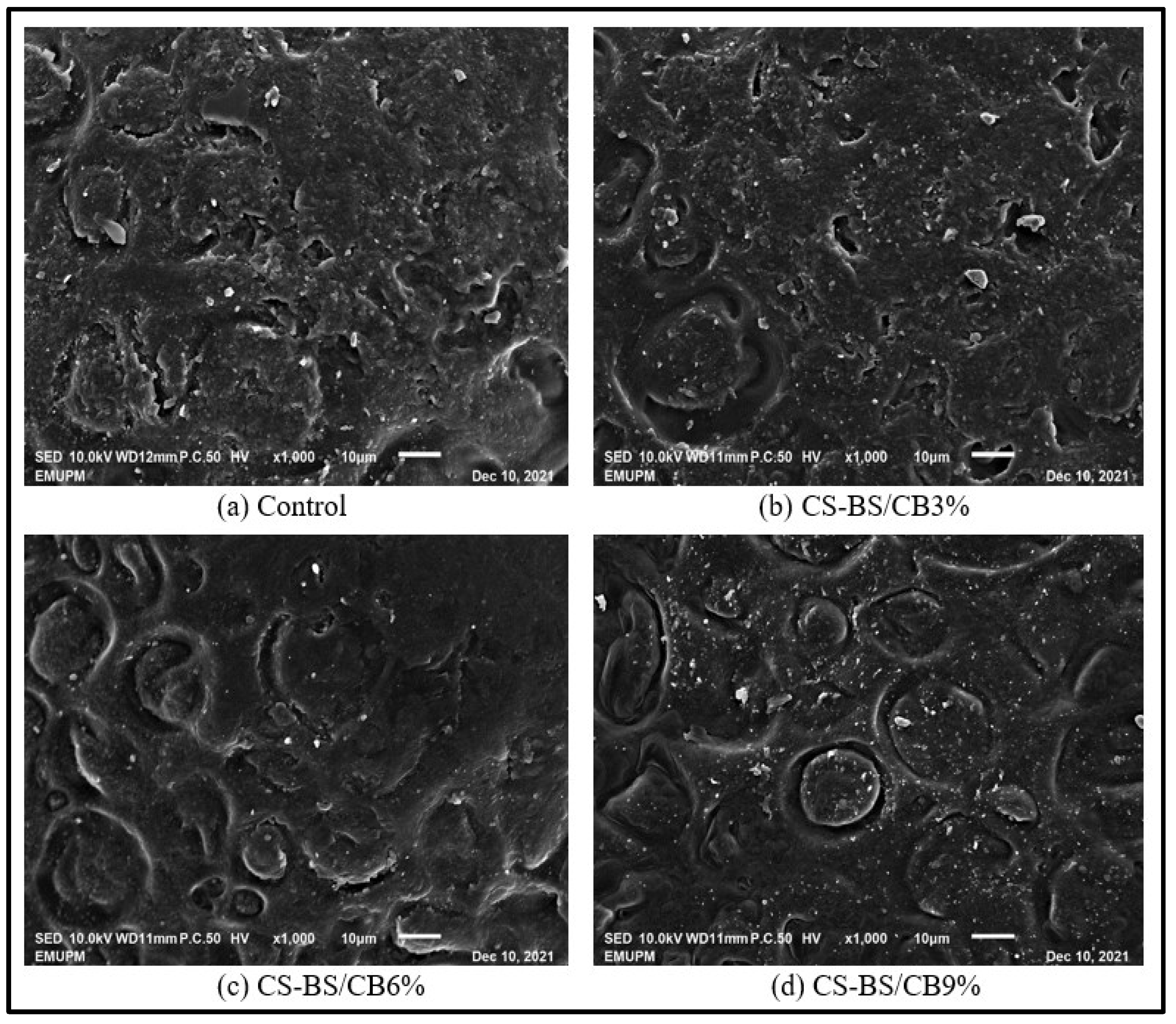 Sustainability 14 12042 g001 Sustainability 14 12042 g001