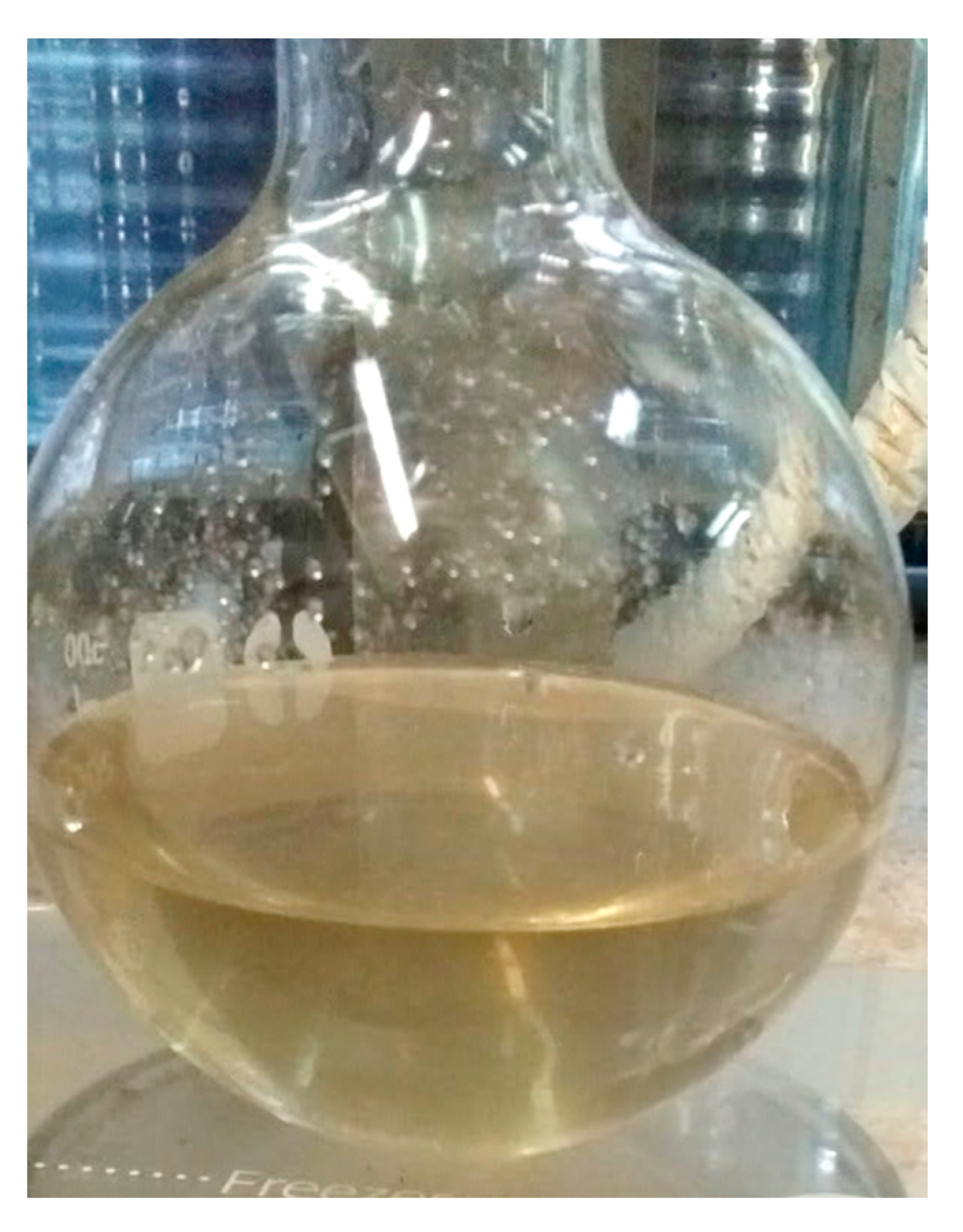 Sustainability 14 12127 g008