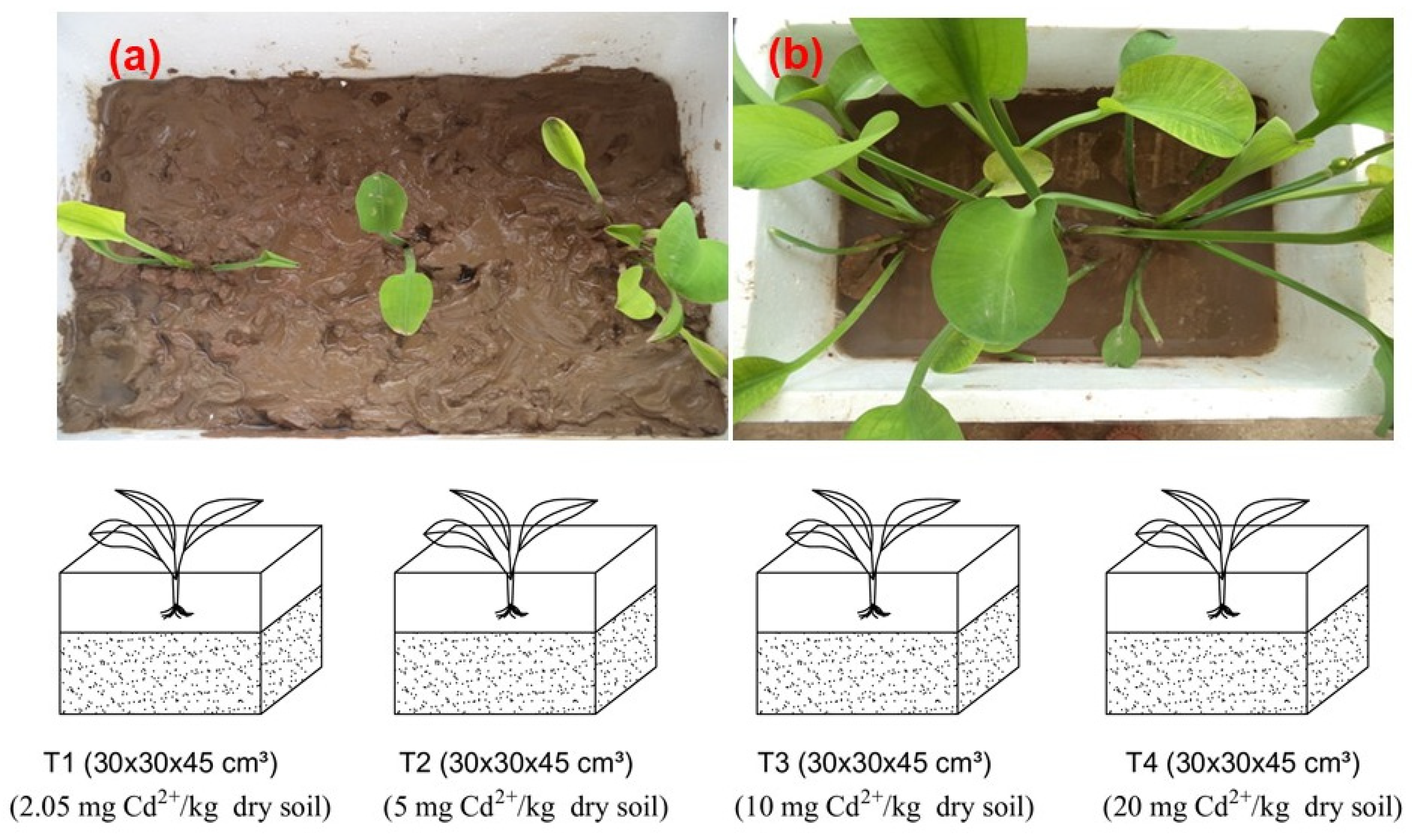 Sustainability 14 12209 g001 Sustainability 14 12209 g001