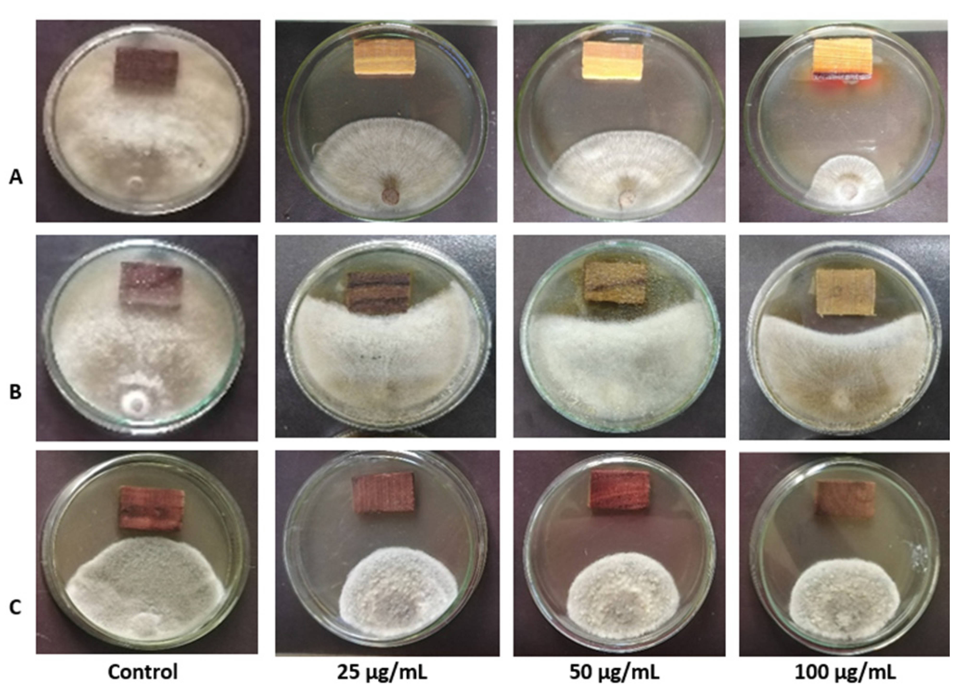 Sustainability 14 12253 g002