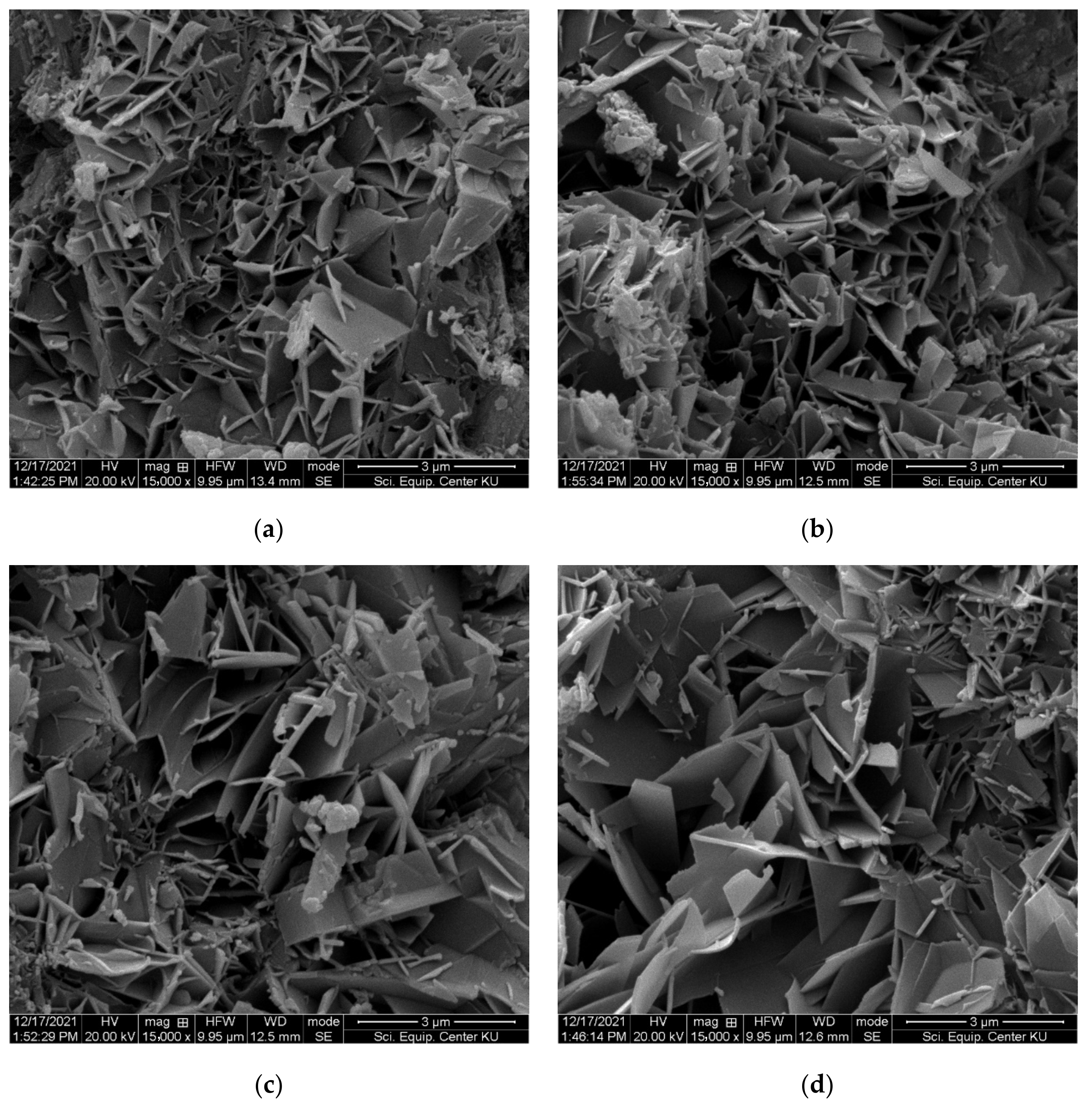 Sustainability 14 12263 g016