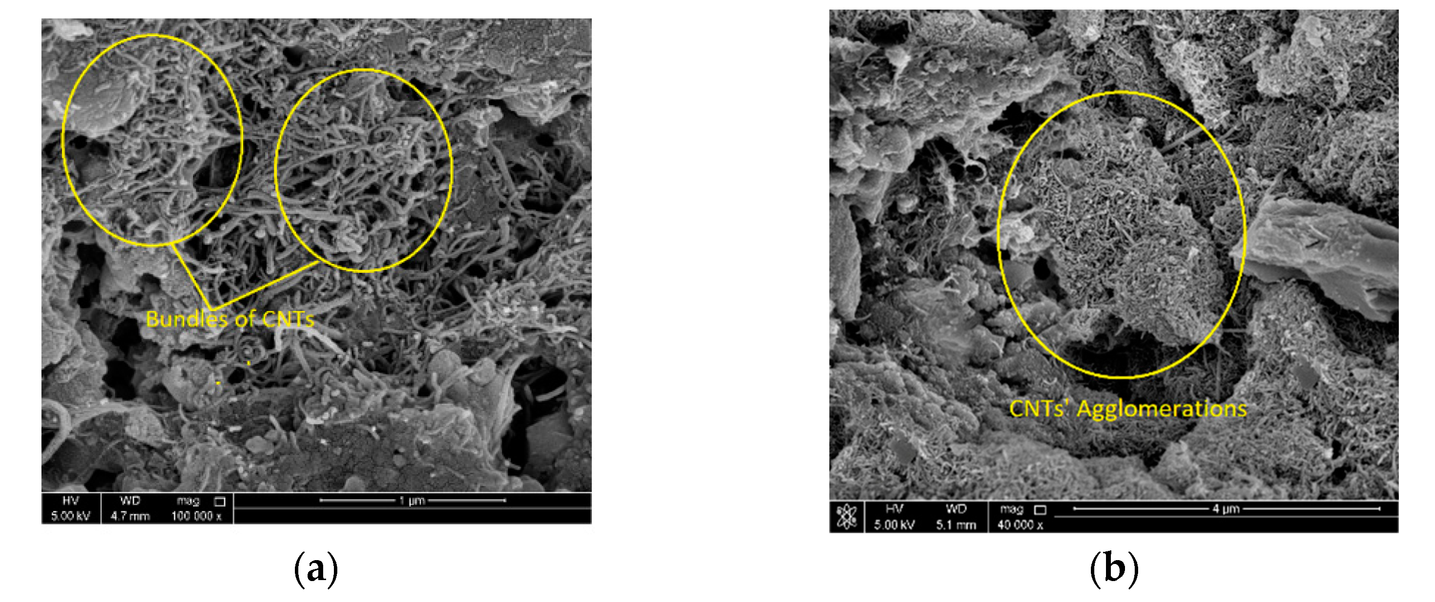 Sustainability 14 12433 g015