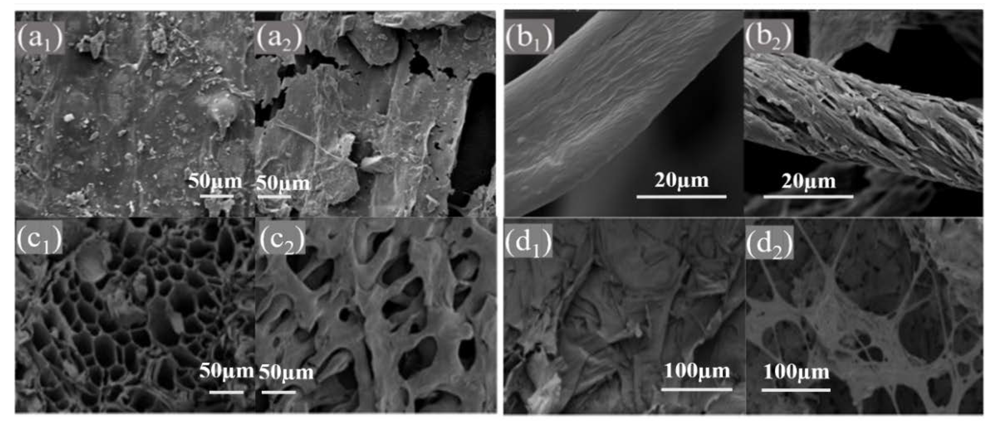 Sustainability 14 12545 g003 Sustainability 14 12545 g003