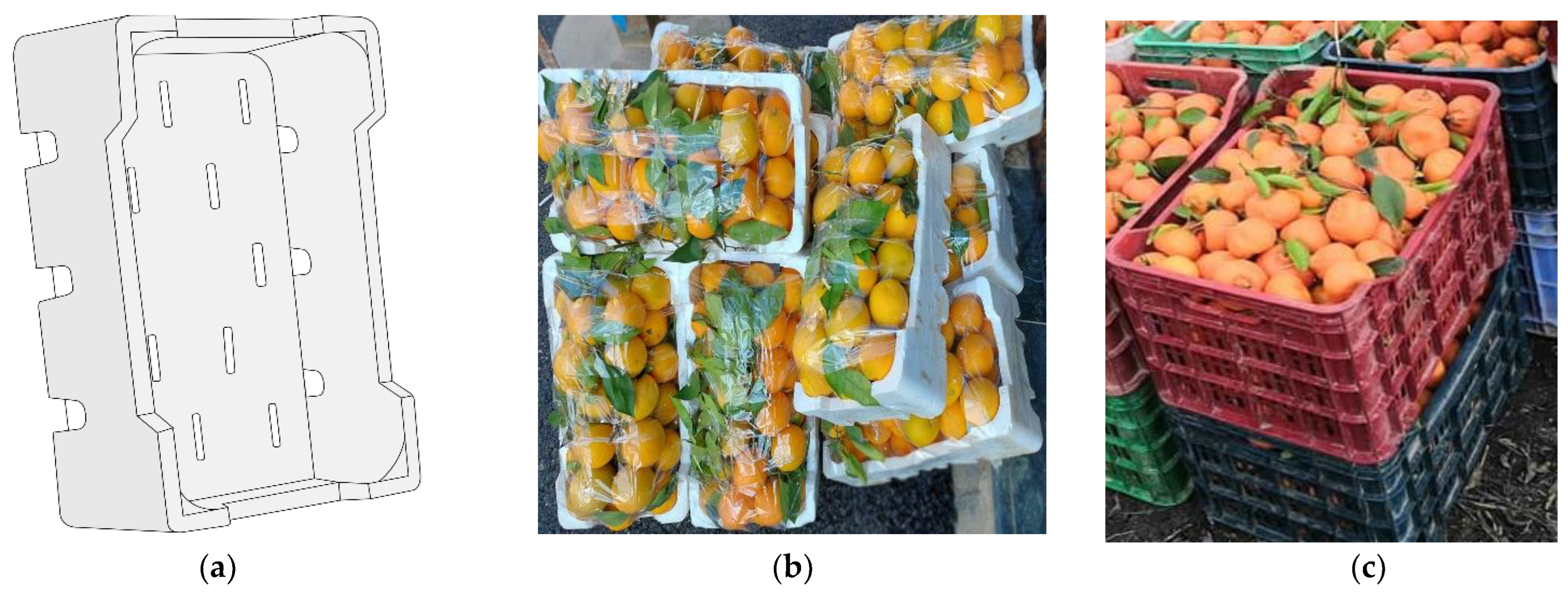 Sustainability 14 12644 g002 Sustainability 14 12644 g002