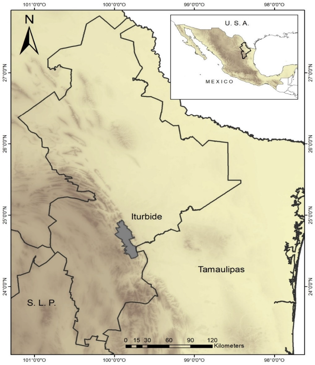 Sustainability | Free Full-Text | Ethnobotany in Iturbide, Nuevo  Le&oacute;n: The Traditional Knowledge on Plants Used in the Semiarid  Mountains of Northeastern Mexico
