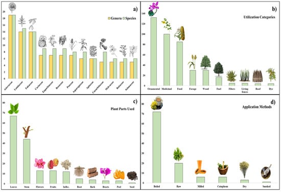 Sustainability | Free Full-Text | Ethnobotany in Iturbide, Nuevo  Le&oacute;n: The Traditional Knowledge on Plants Used in the Semiarid  Mountains of Northeastern Mexico