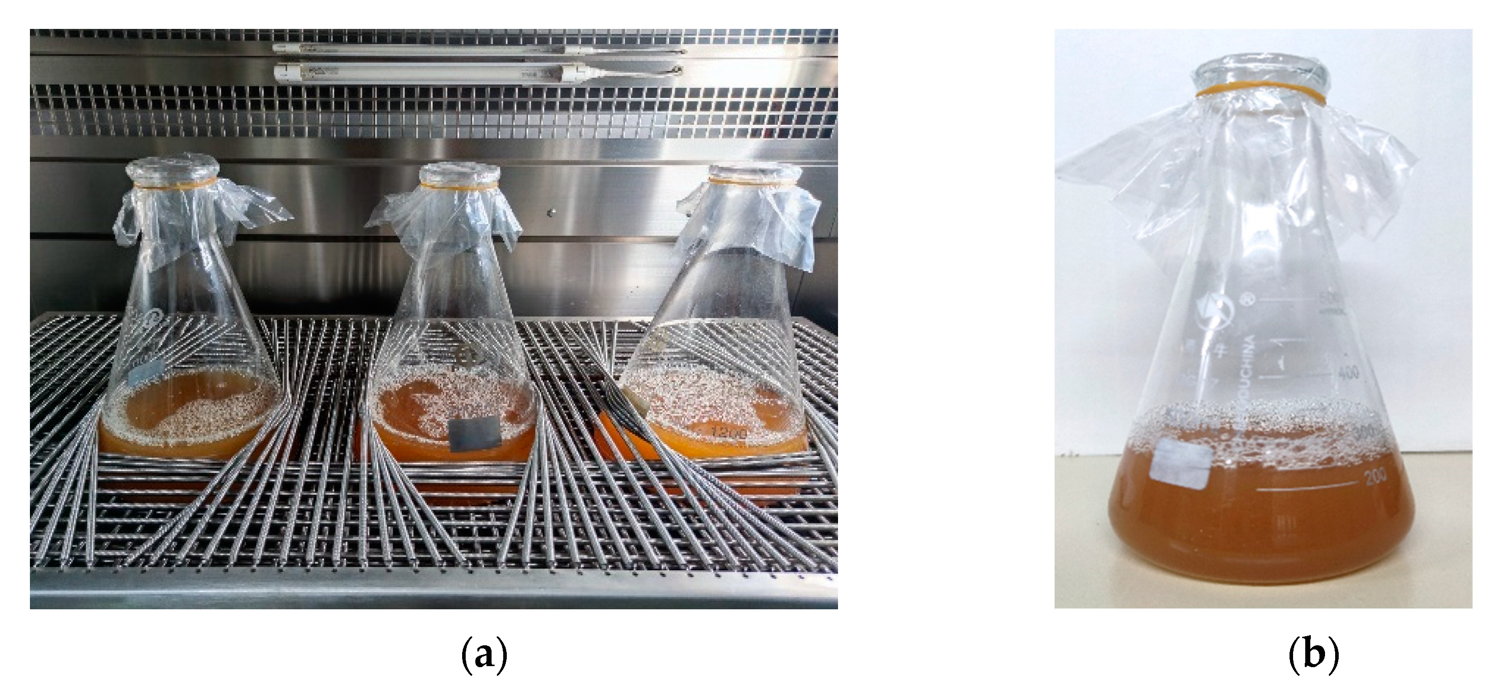 Sustainability 14 12965 g004