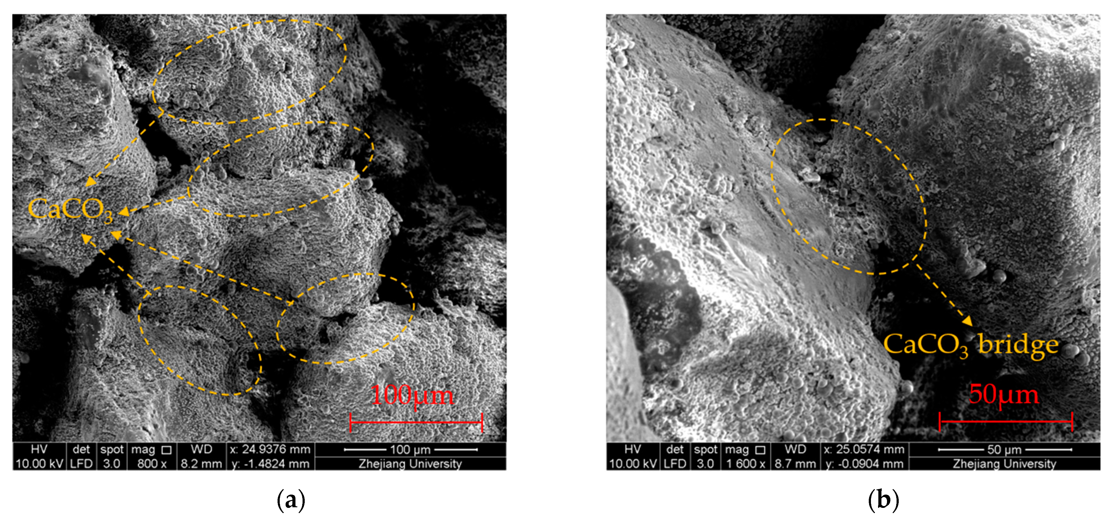 Sustainability 14 12965 g013