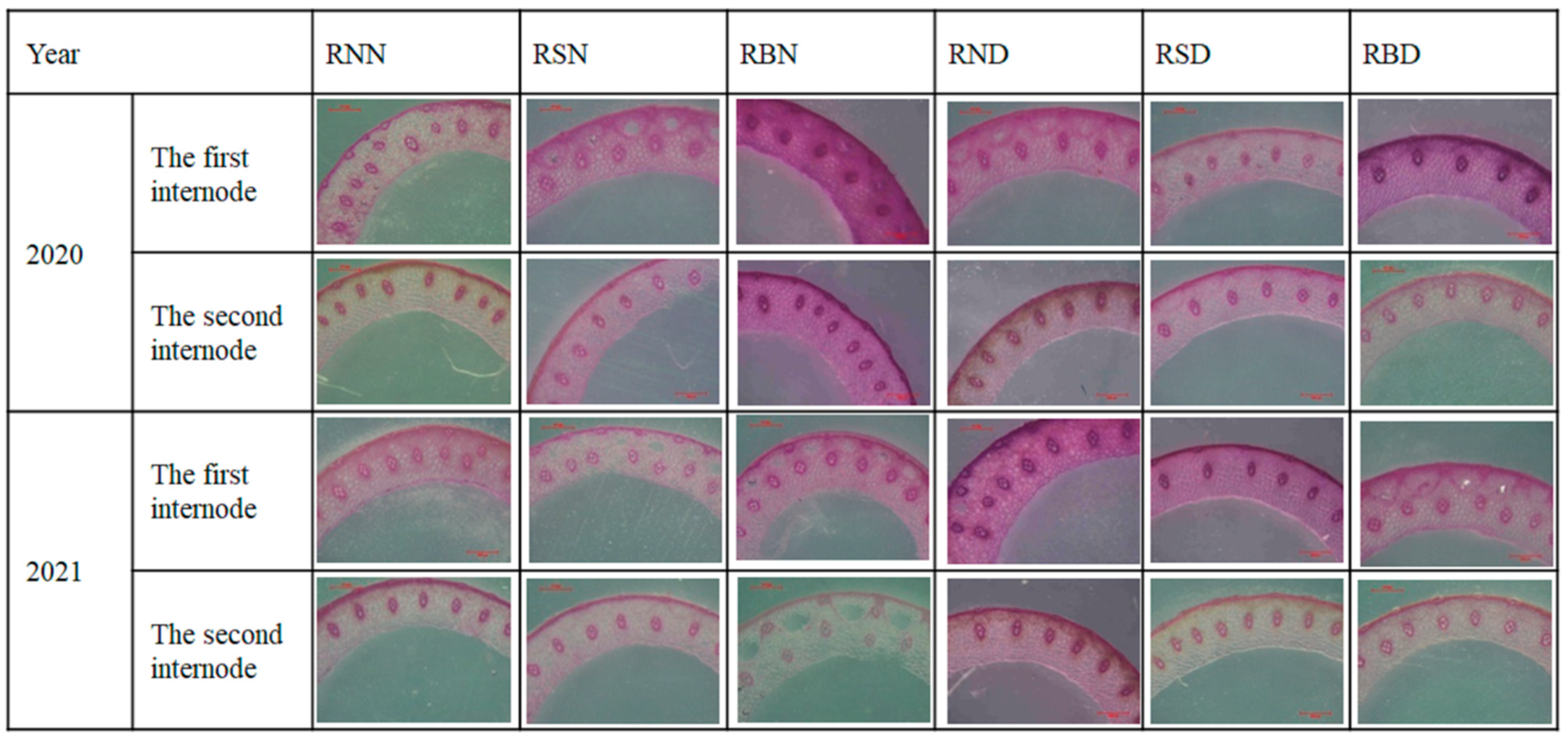 Sustainability 14 12984 g004