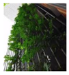 Sustainability 14 12997 i008 Sustainability 14 12997 i008