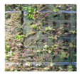 Sustainability 14 12997 i014 Sustainability 14 12997 i014