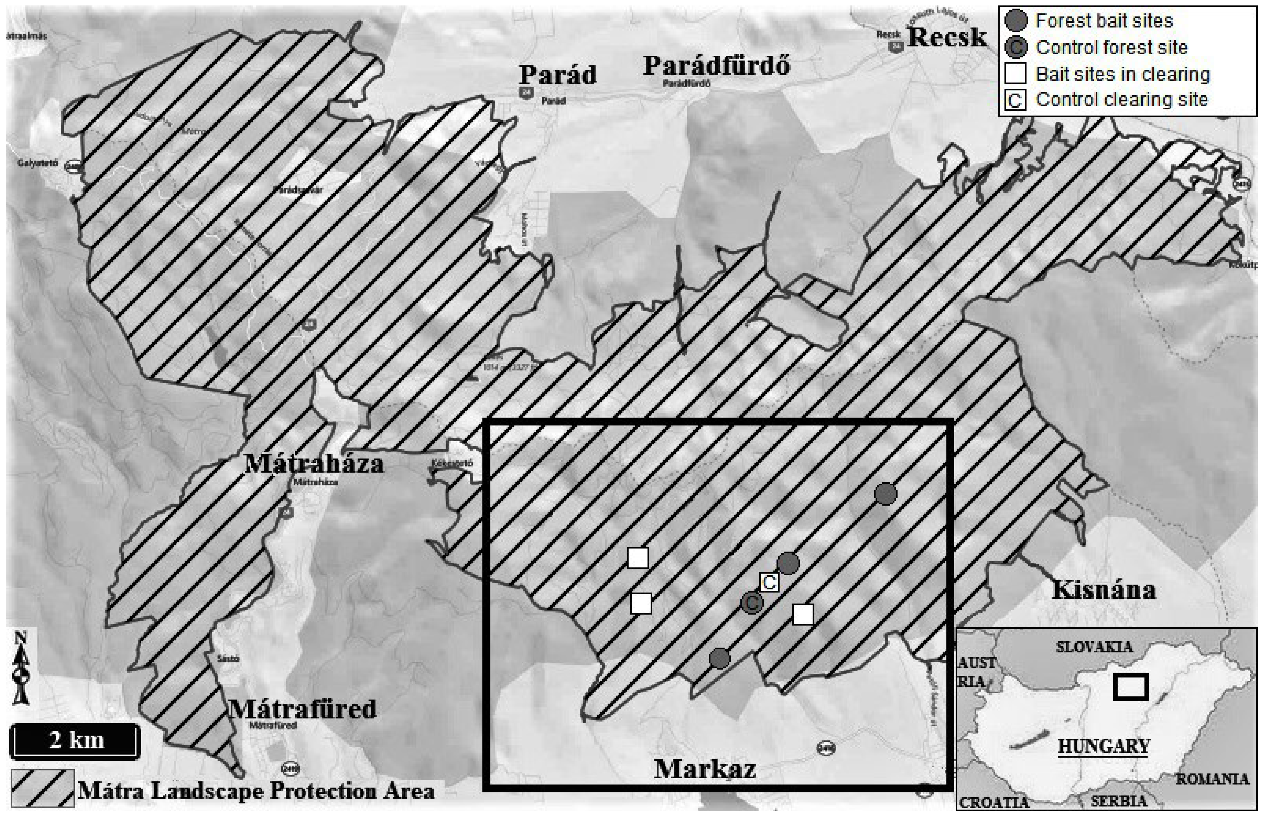 Sustainability | Free Full-Text | Changes in the Vegetation, Soil Seed Bank  and Soil Properties at Bait Sites in a Protected Area of the Central  European Lower Montane Zone