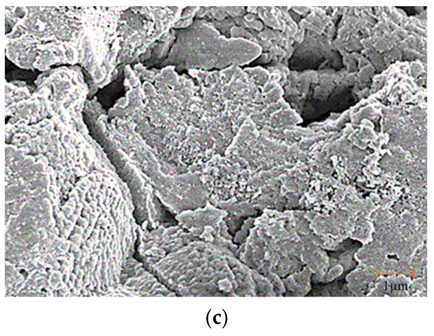 Sustainability 14 13156 g005b Sustainability 14 13156 g005b