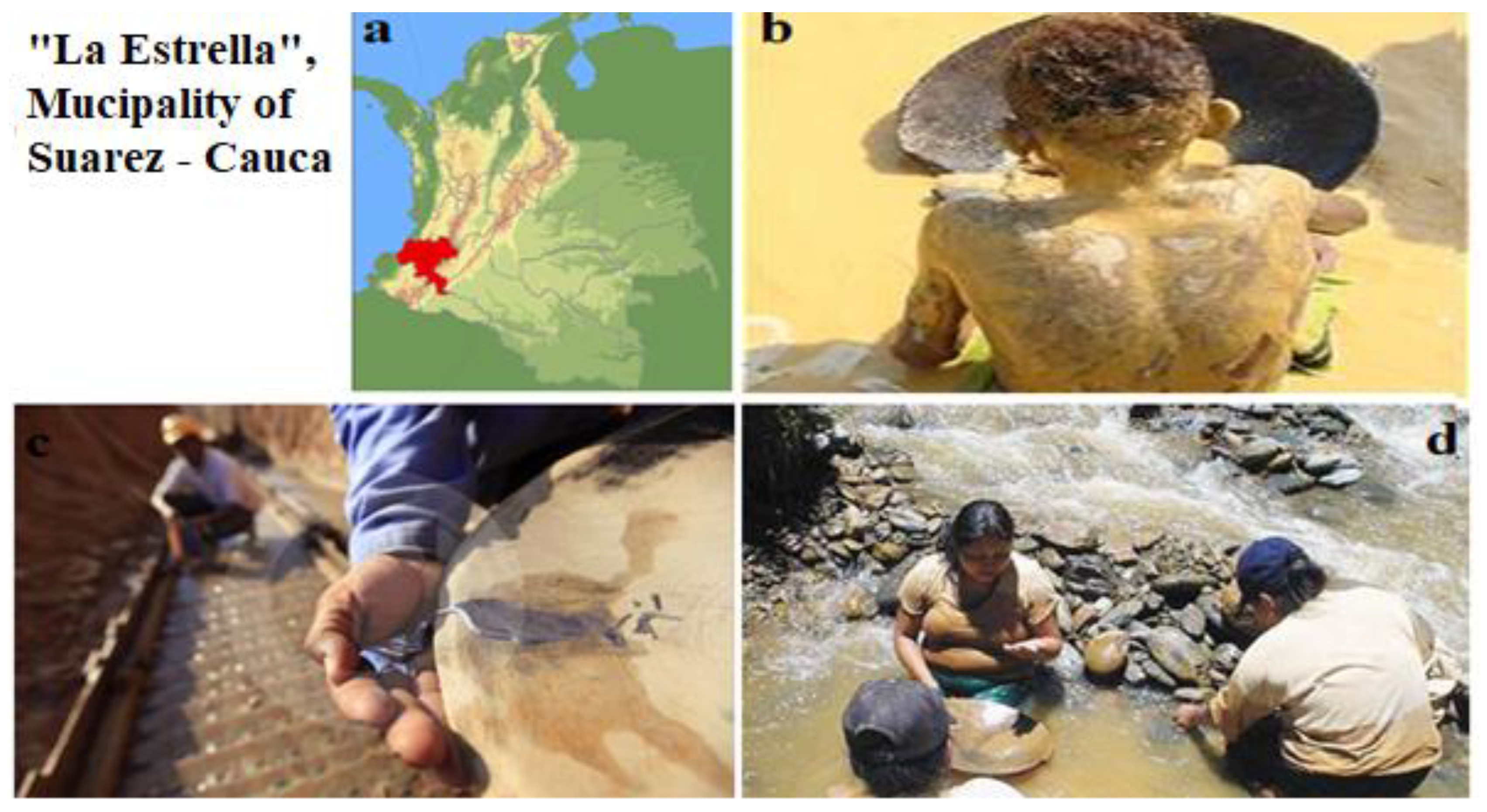 Sustainability 14 13245 g001 Sustainability 14 13245 g001