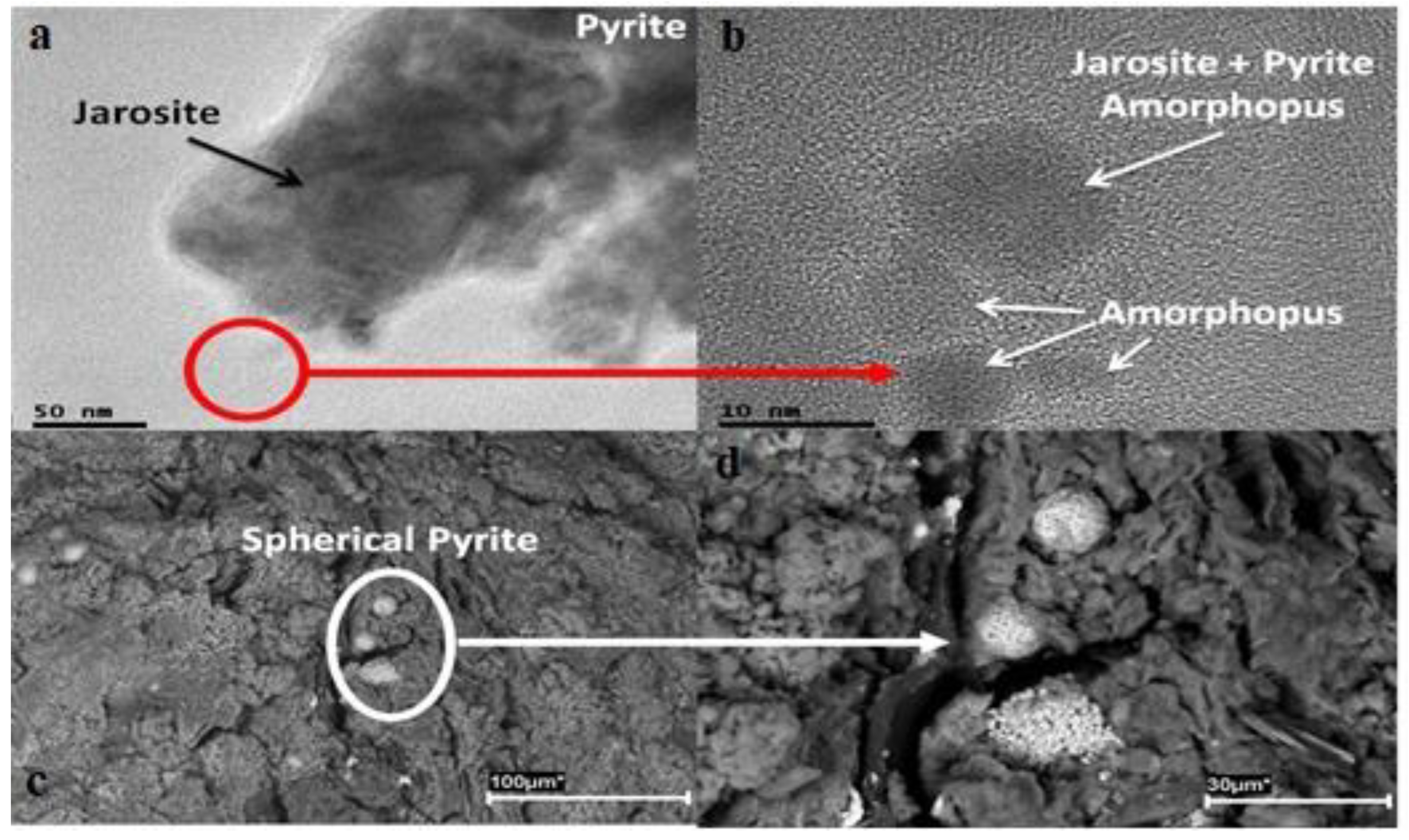 Sustainability 14 13245 g005 Sustainability 14 13245 g005