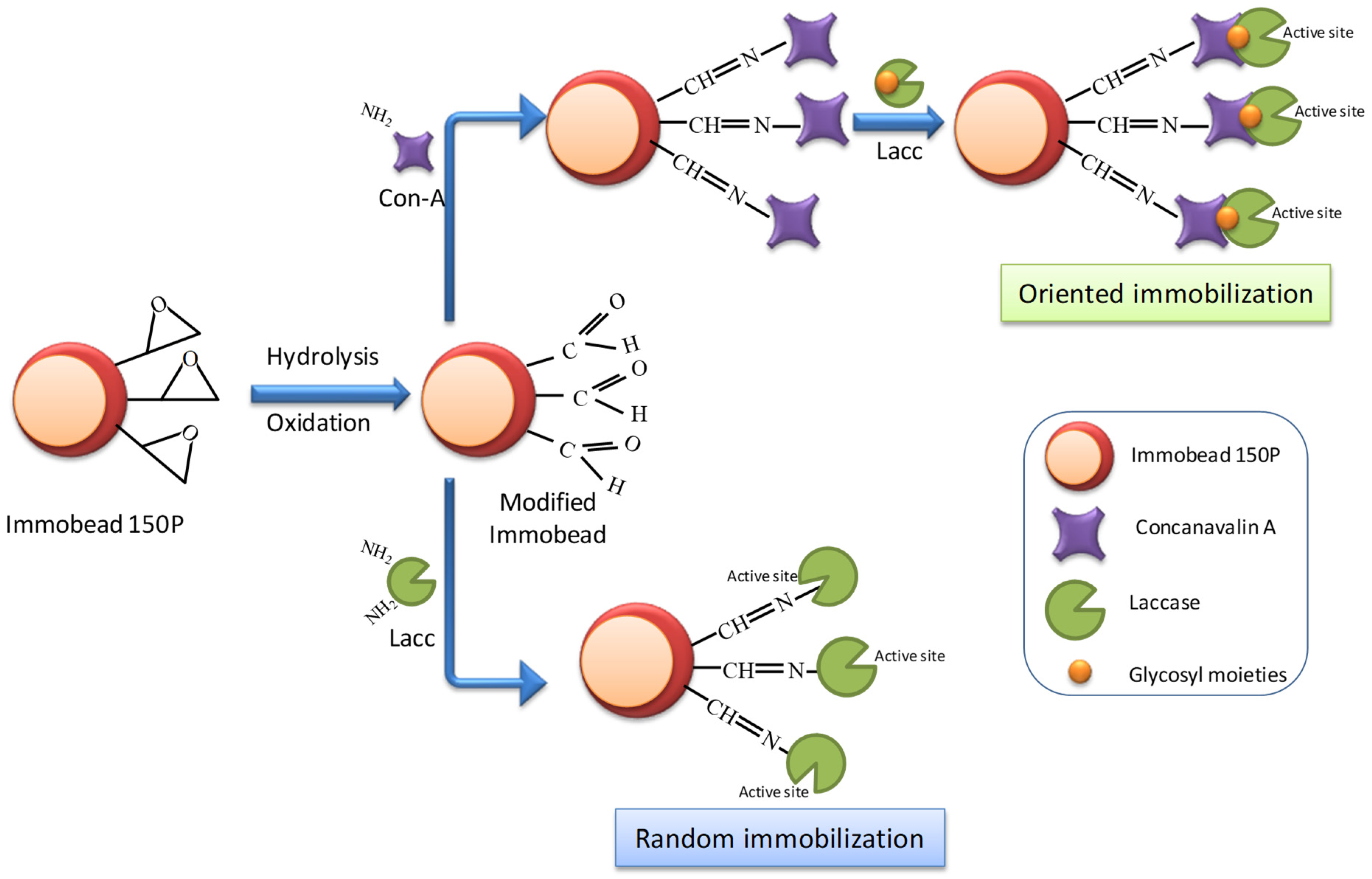 Sustainability 14 13306 sch001