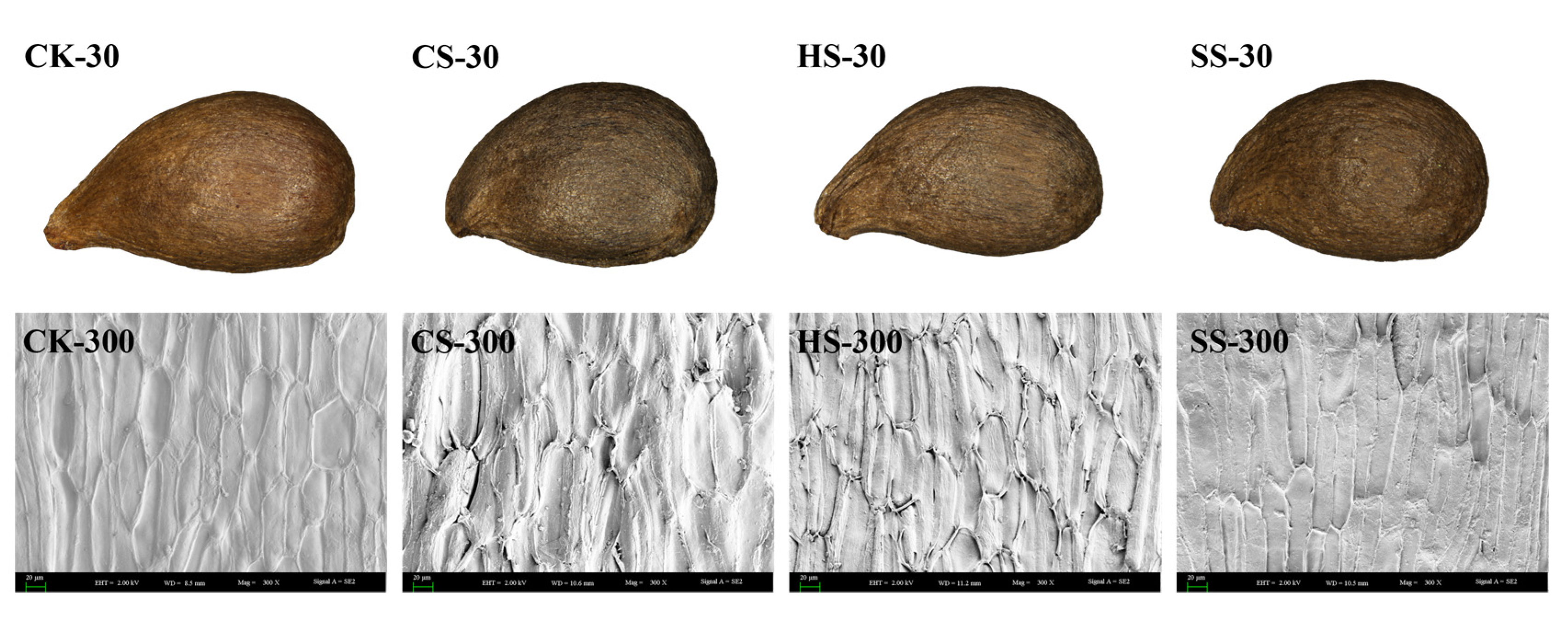 Sustainability 14 13930 g004 Sustainability 14 13930 g004