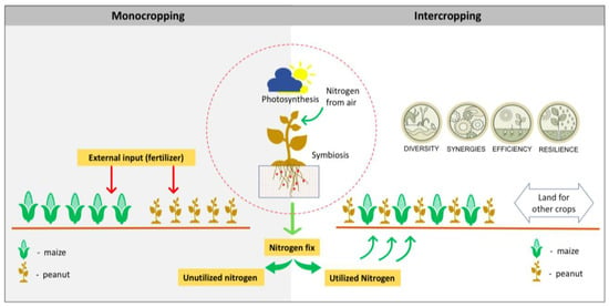 Sustainability | Free Full-Text | Climate Change, Food Security, and ...