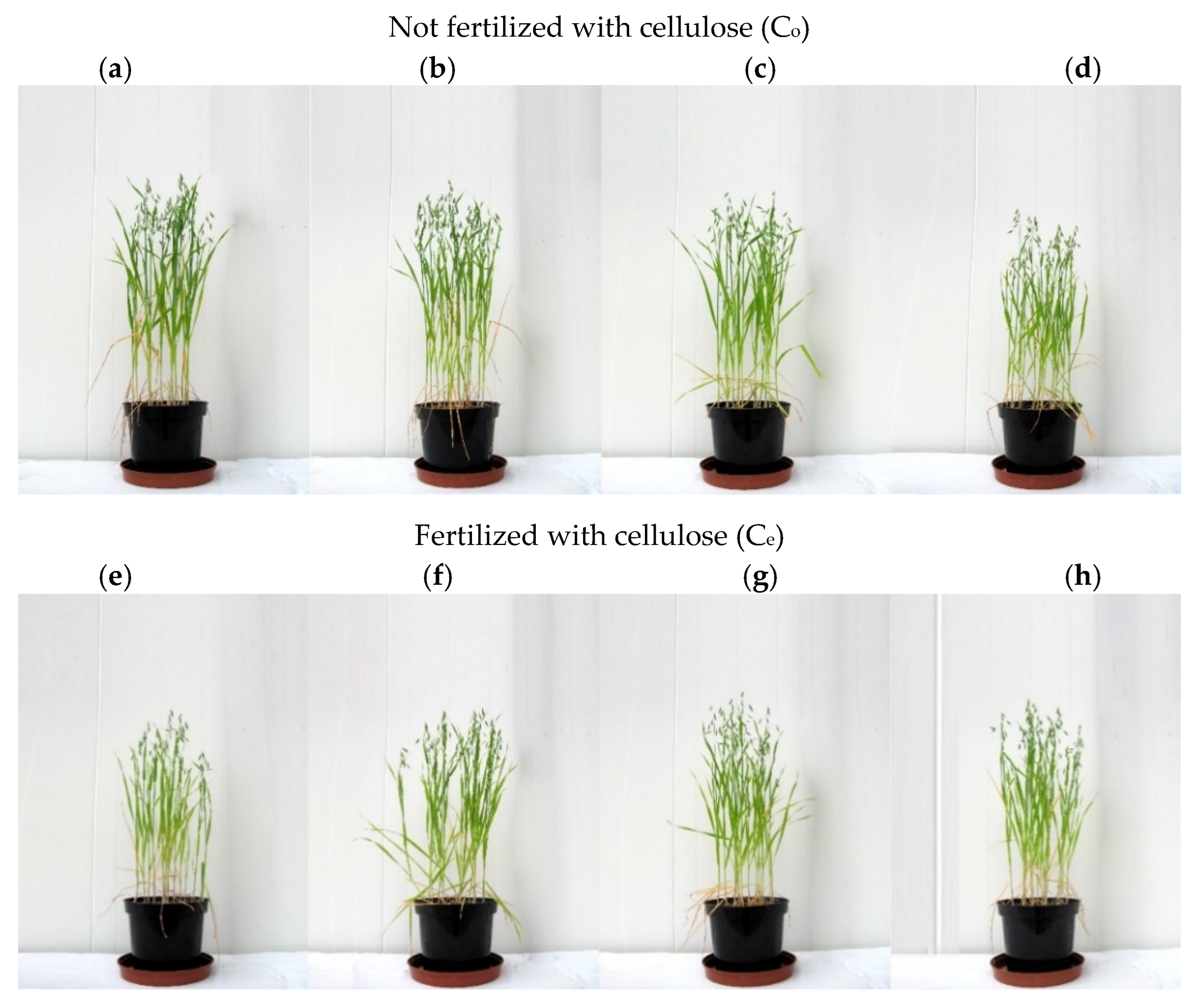 Sustainability 14 14242 g002