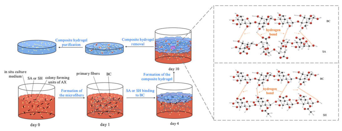 Sustainability 14 14277 g001 Sustainability 14 14277 g001
