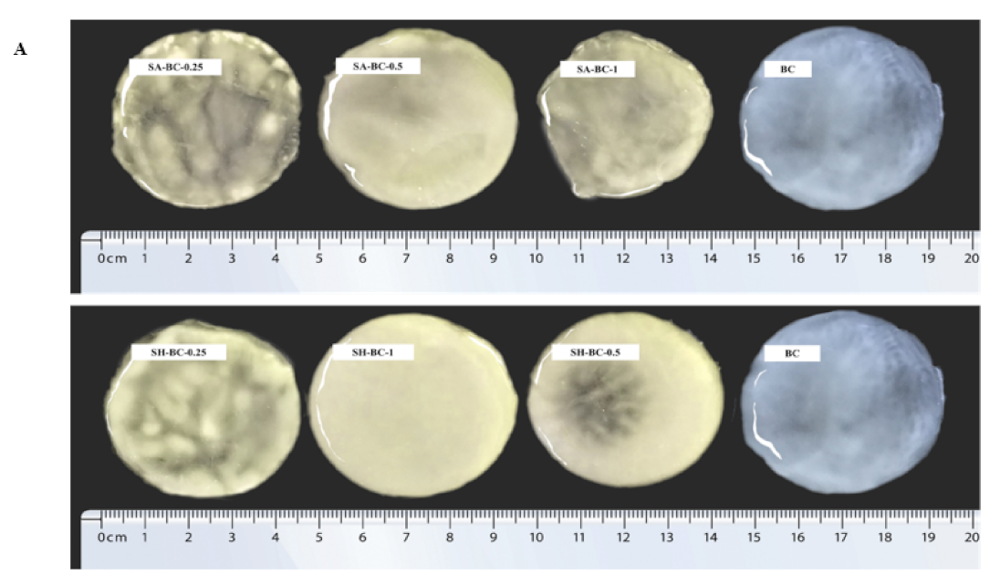 Sustainability 14 14277 g003a Sustainability 14 14277 g003a