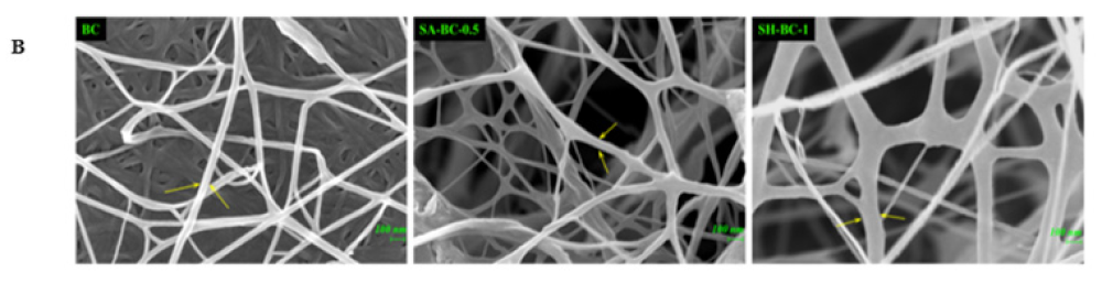 Sustainability 14 14277 g003b Sustainability 14 14277 g003b