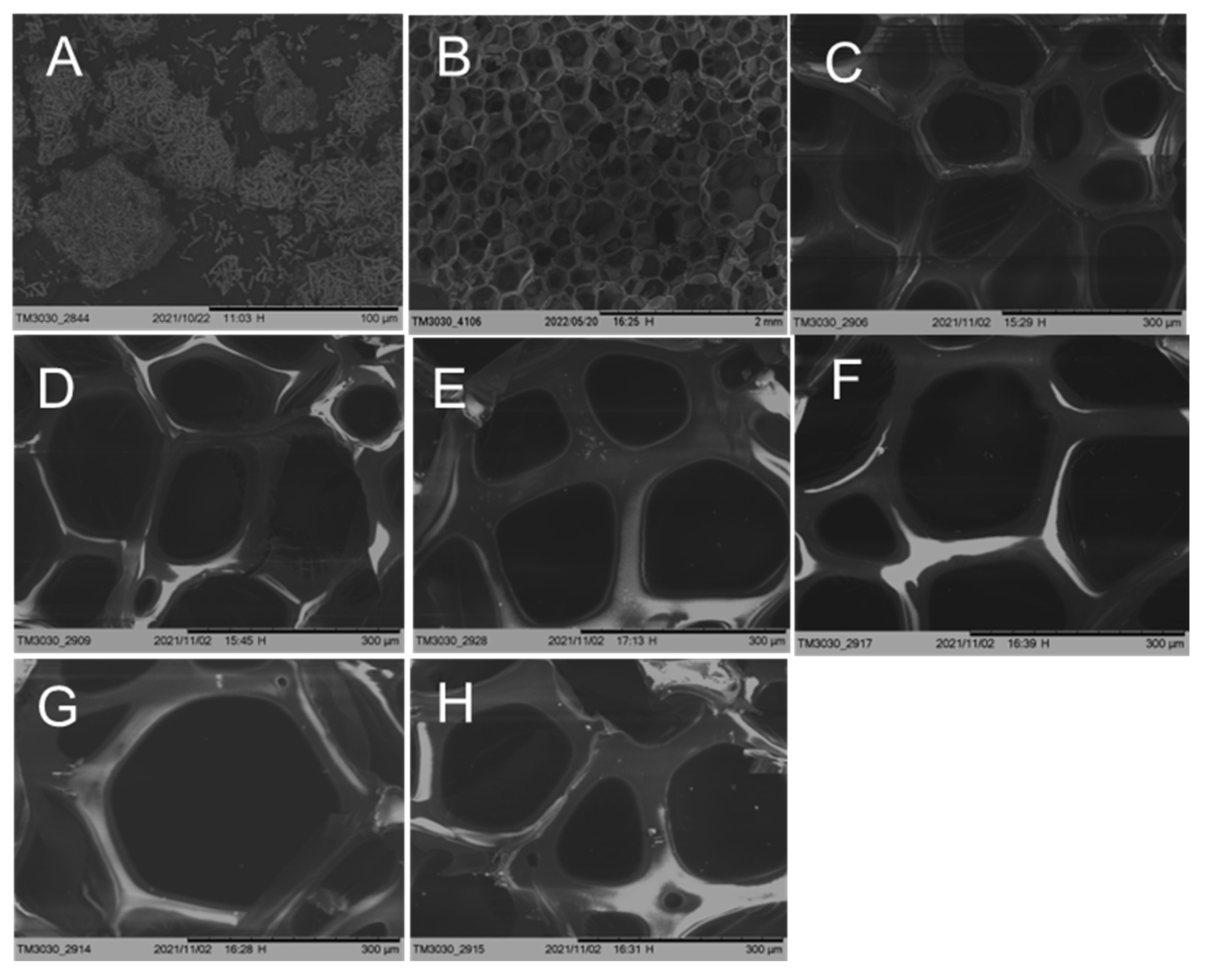 Sustainability 14 14310 g003