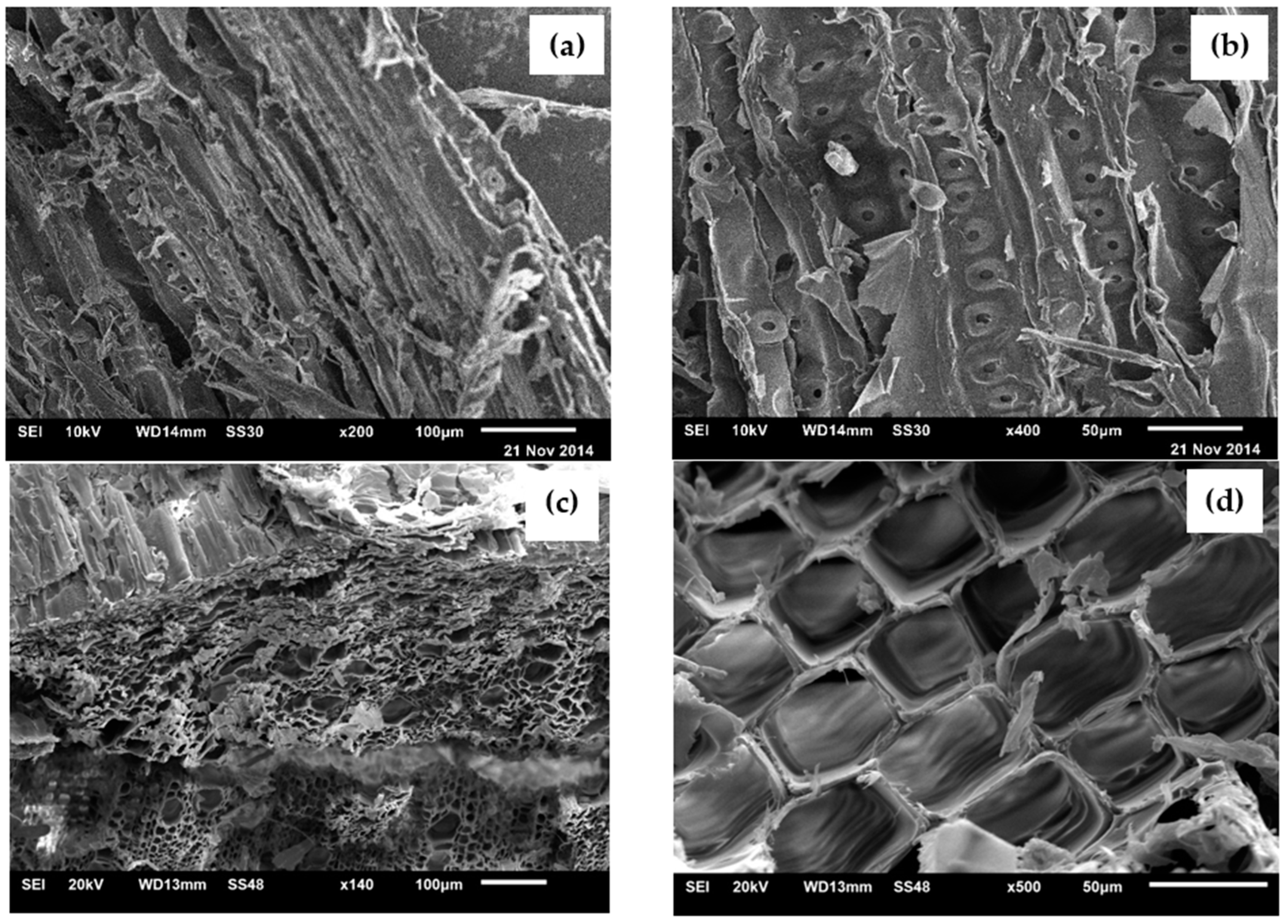Sustainability 14 14397 g015 Sustainability 14 14397 g015