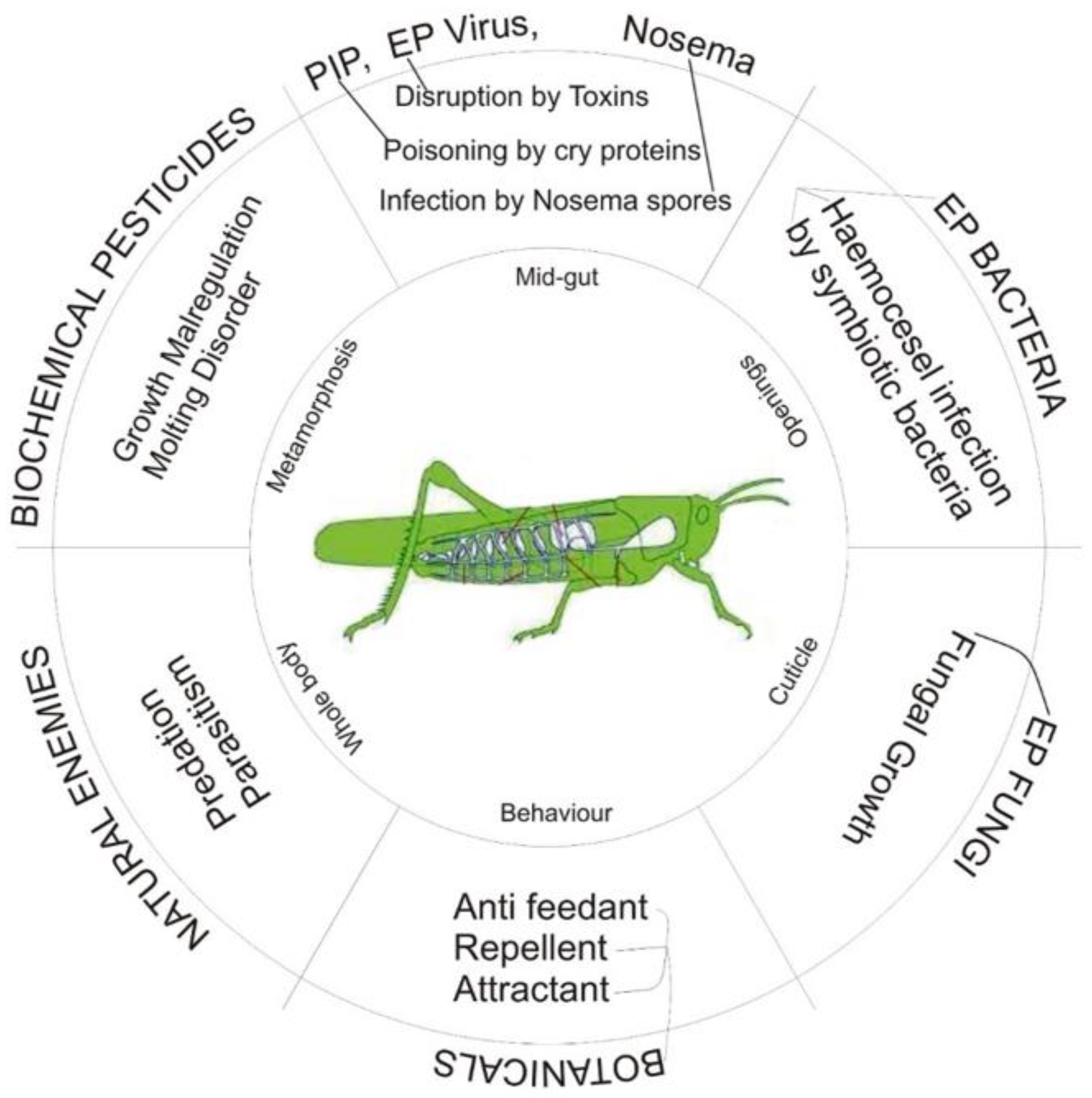 Sustainability 14 14417 g003 Sustainability 14 14417 g003