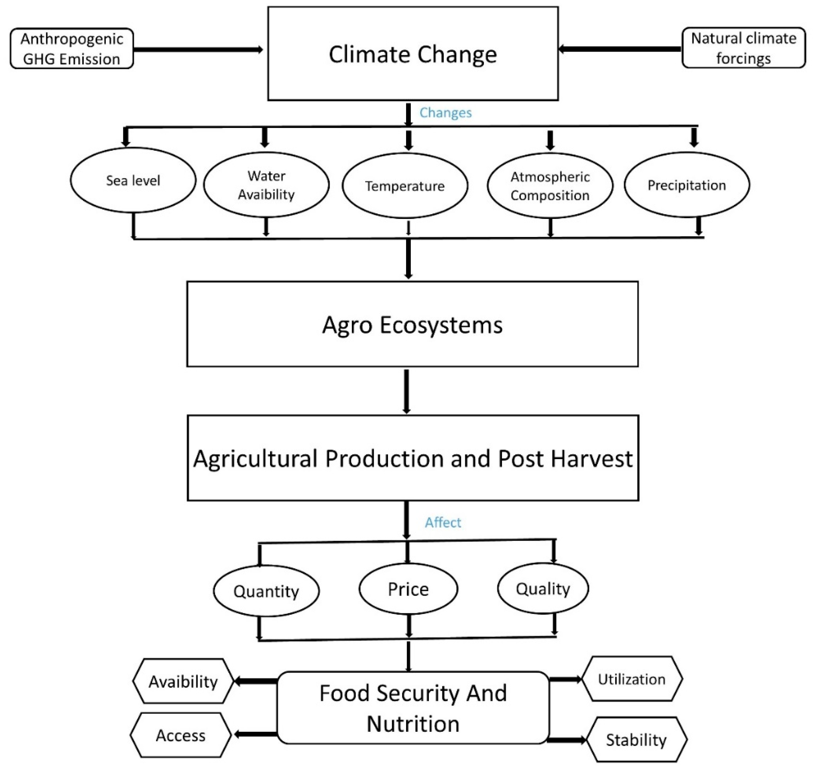 climate change and food security thesis