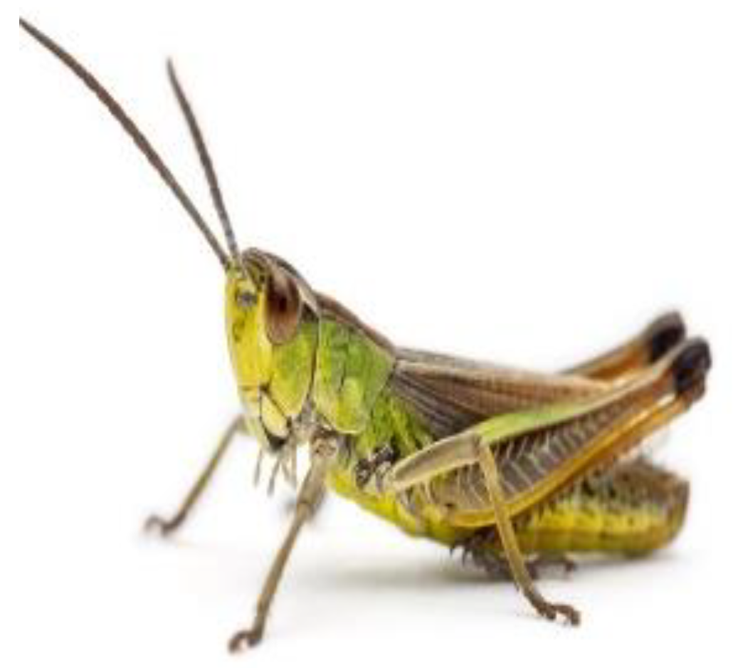 Sustainability 14 14649 g005