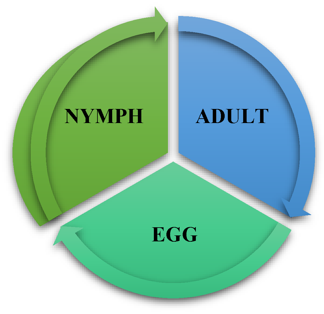 Sustainability 14 14649 g006