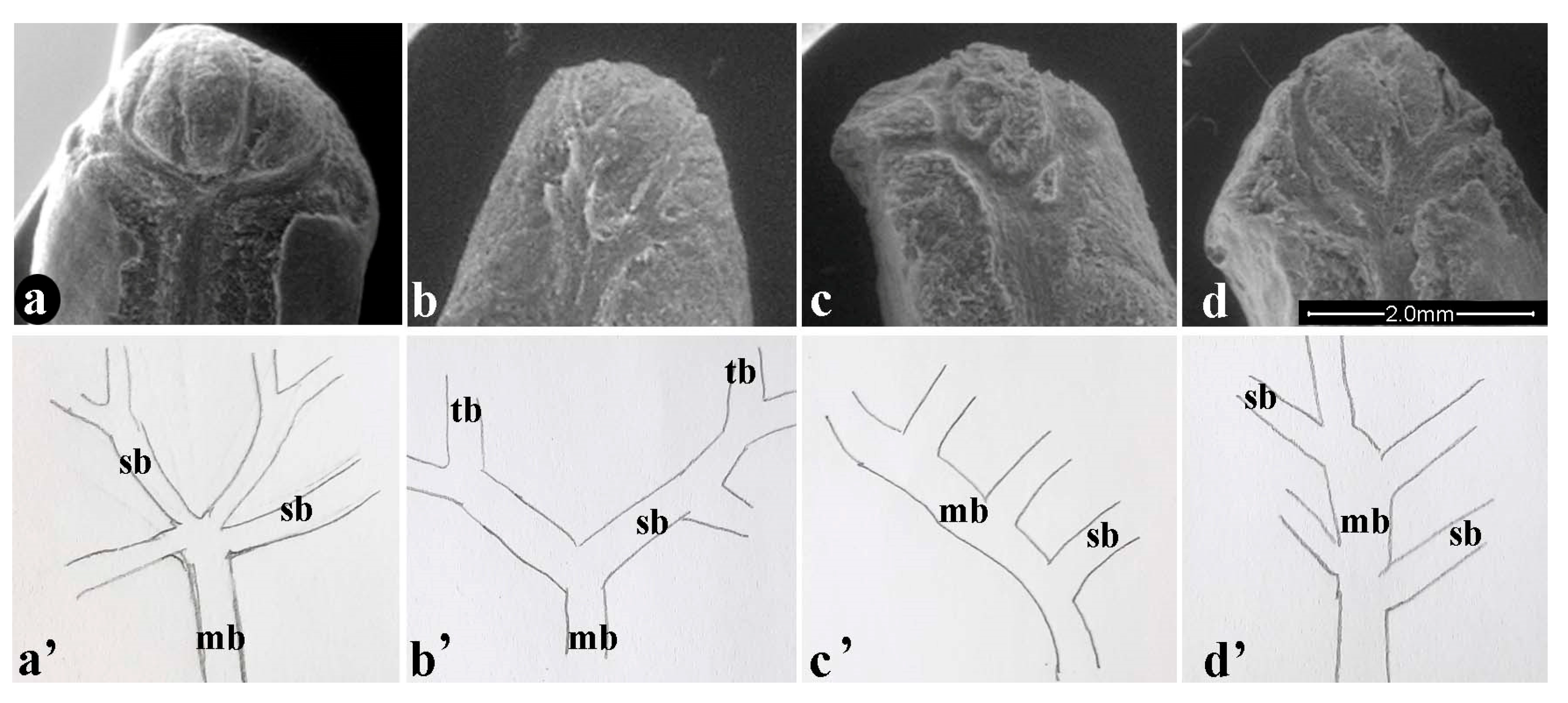 Sustainability 14 14780 g002