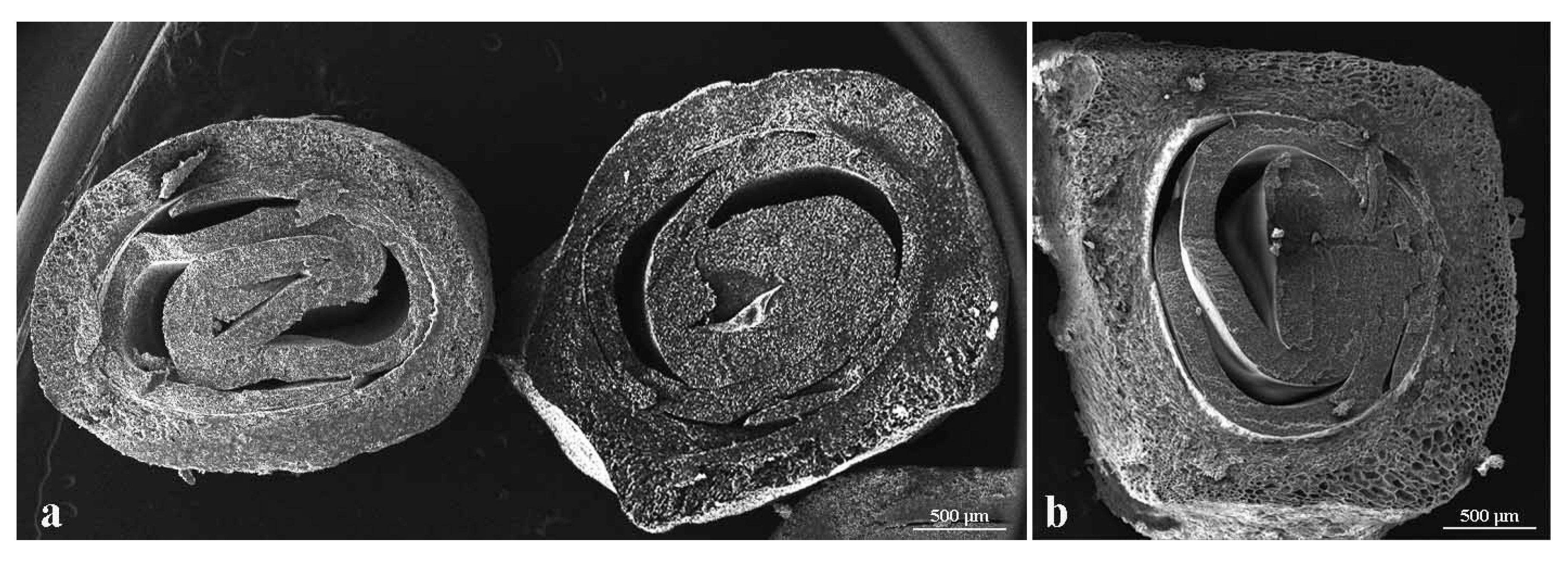 Sustainability 14 14780 g004