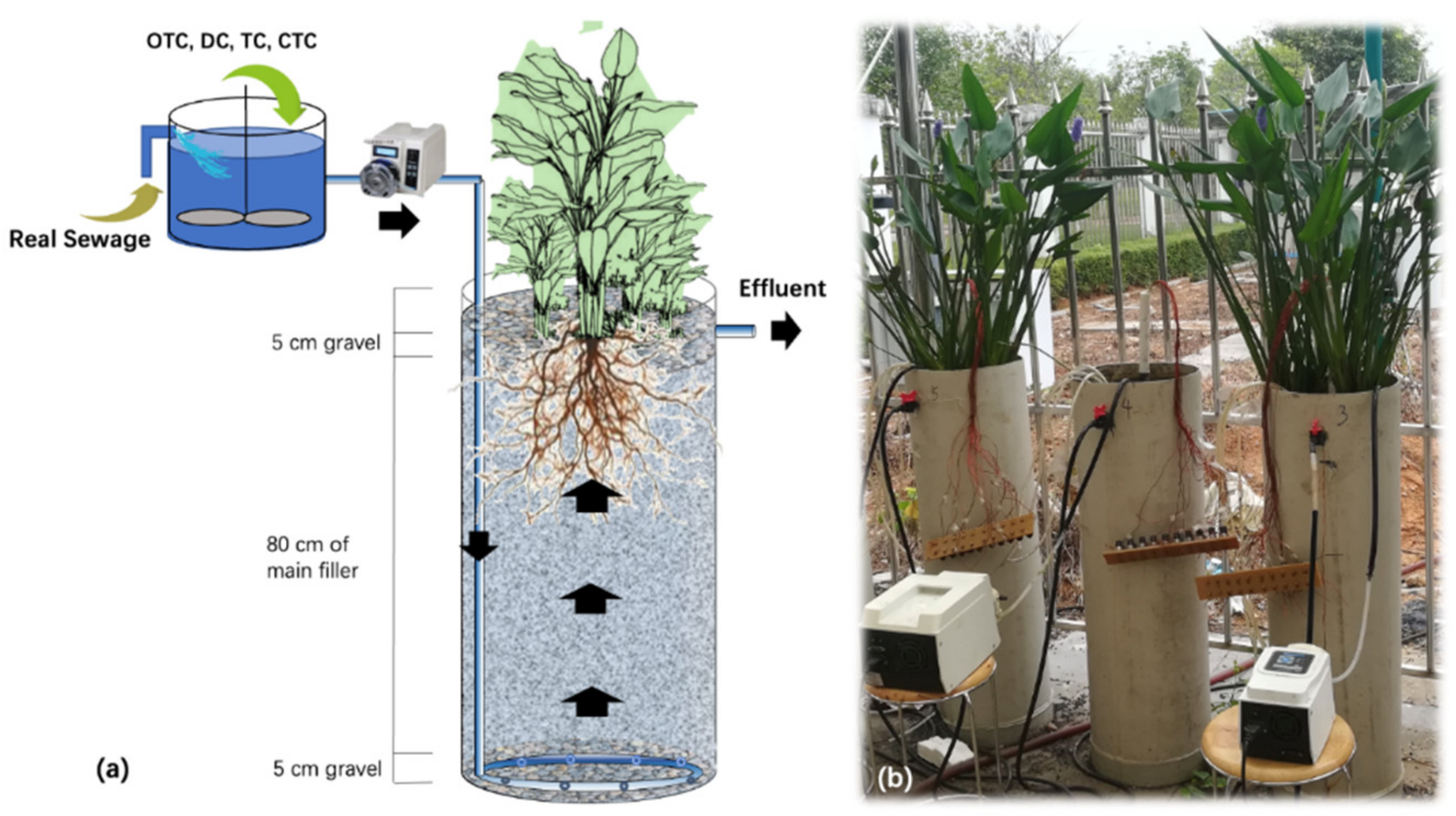 Sustainability 14 14989 g001
