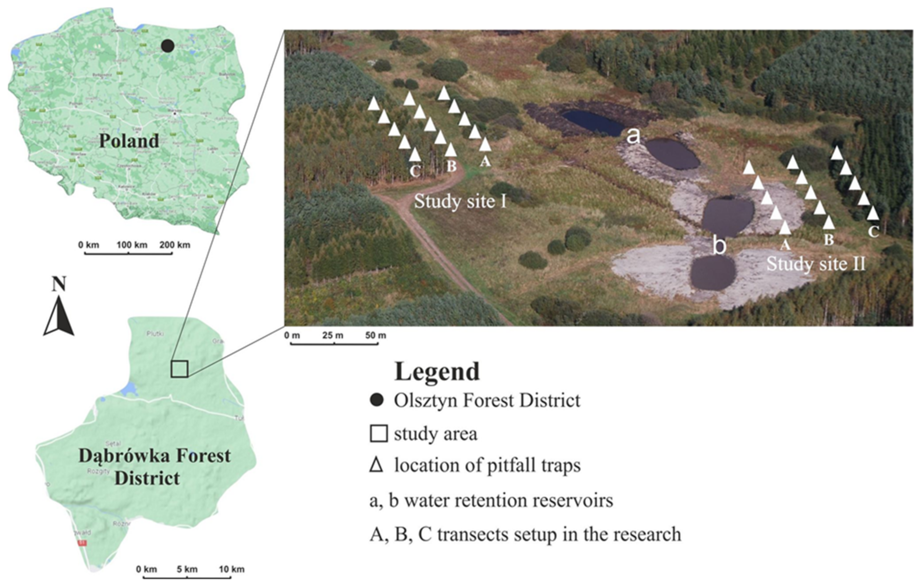 Sustainability 14 15068 g001 Sustainability 14 15068 g001