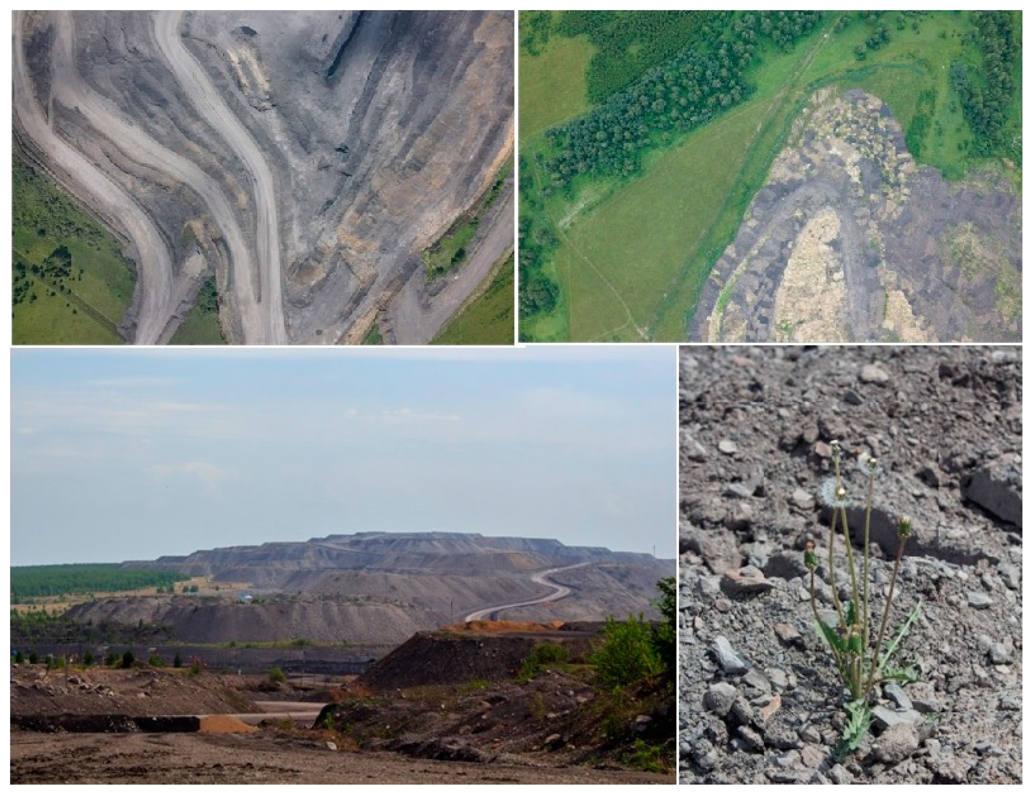 Sustainability 14 15135 g003