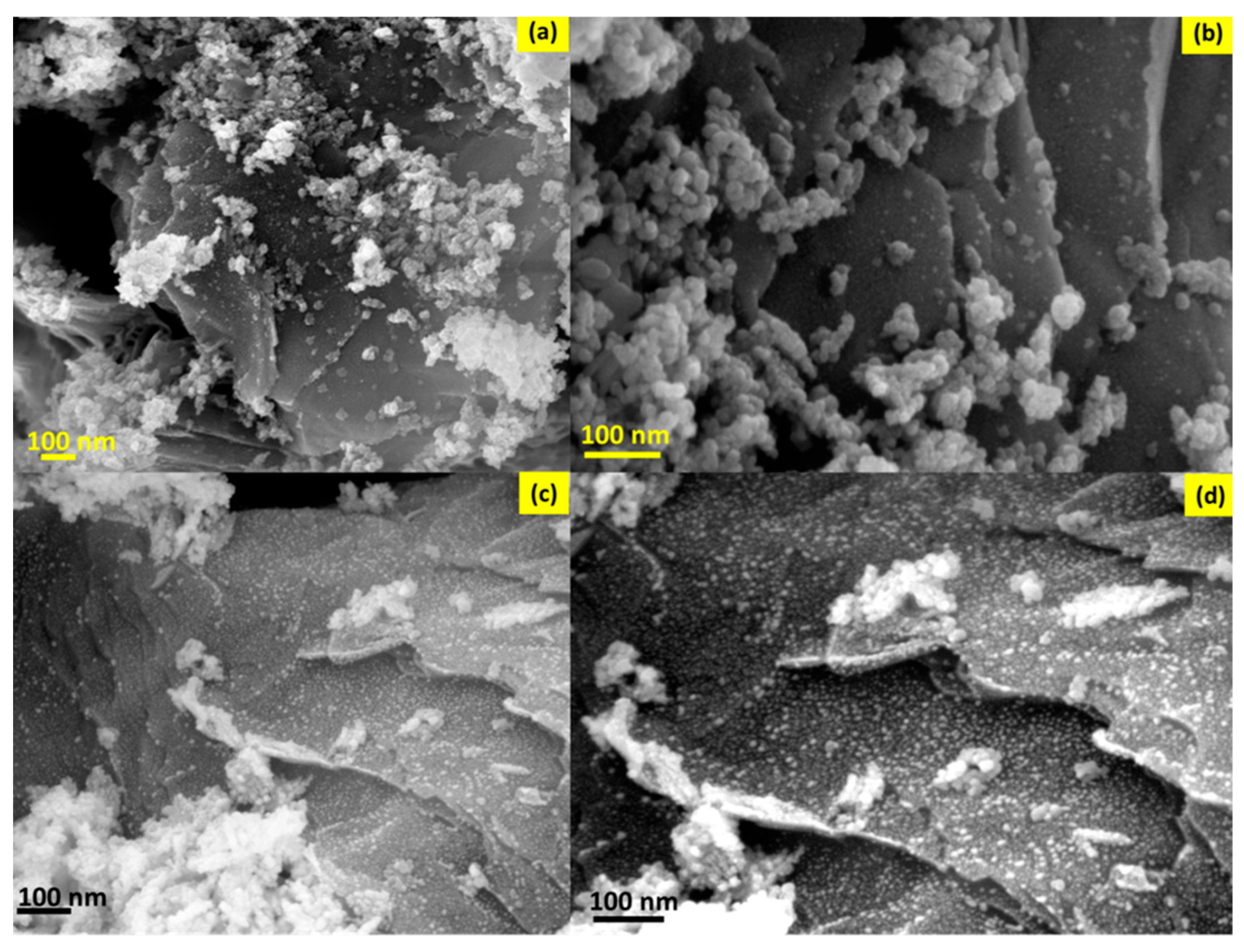 Sustainability 14 15256 g011