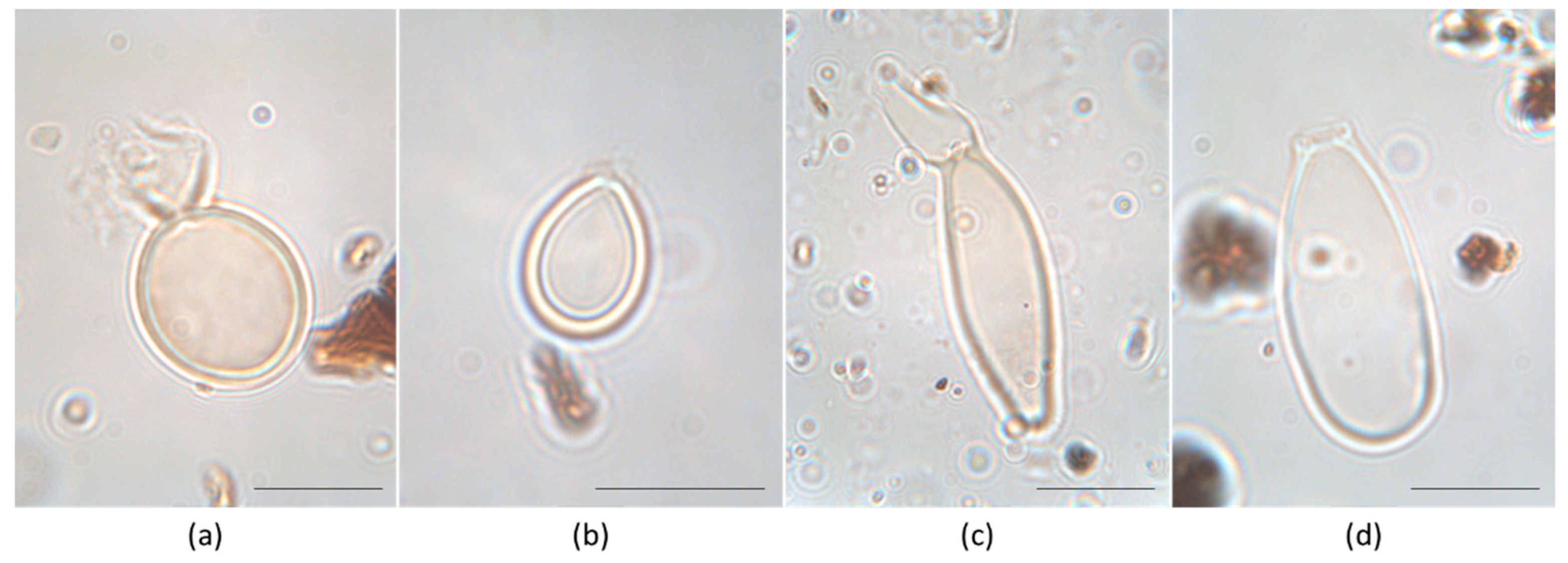 Sustainability 14 15332 g002