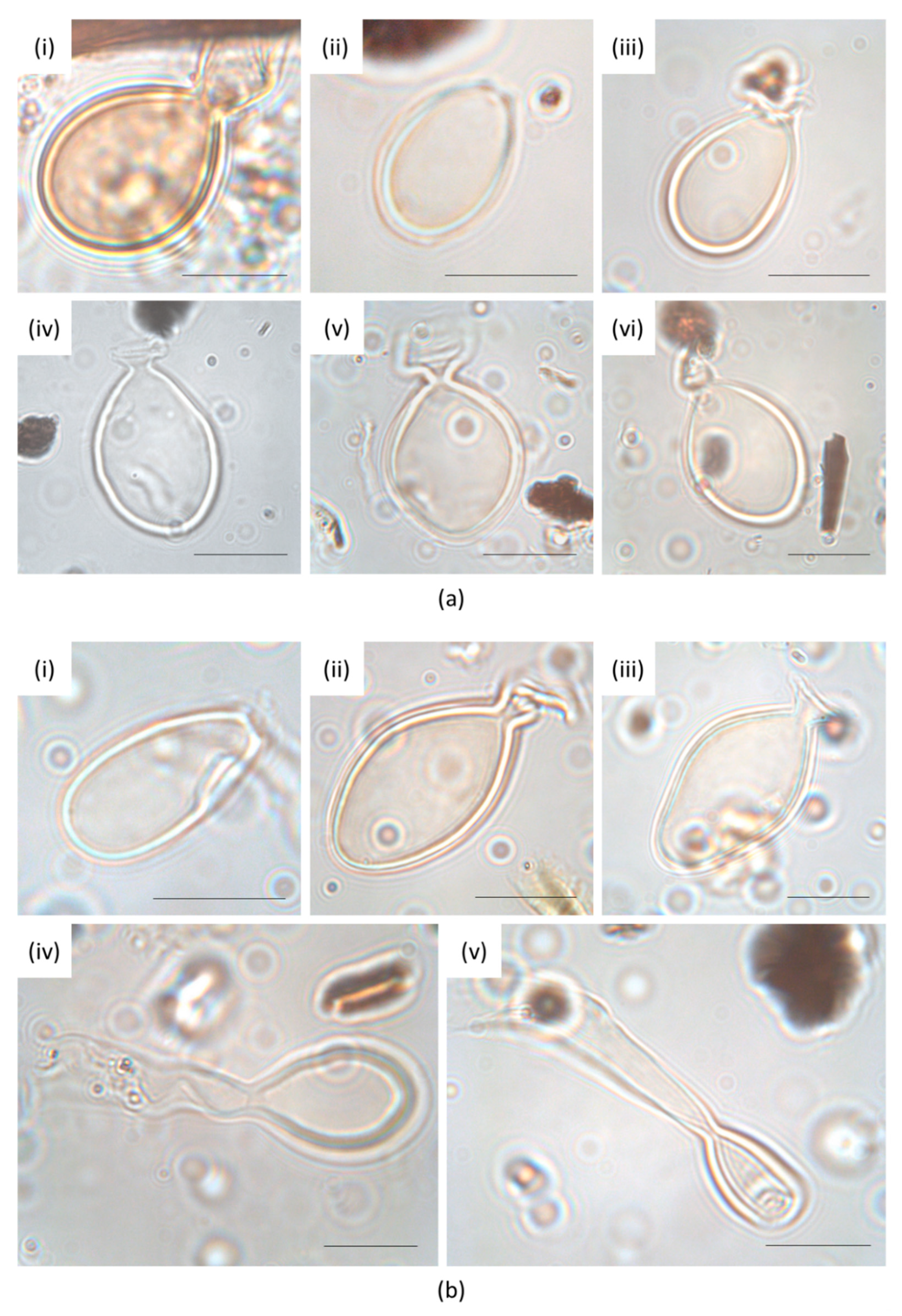 Sustainability 14 15332 g004