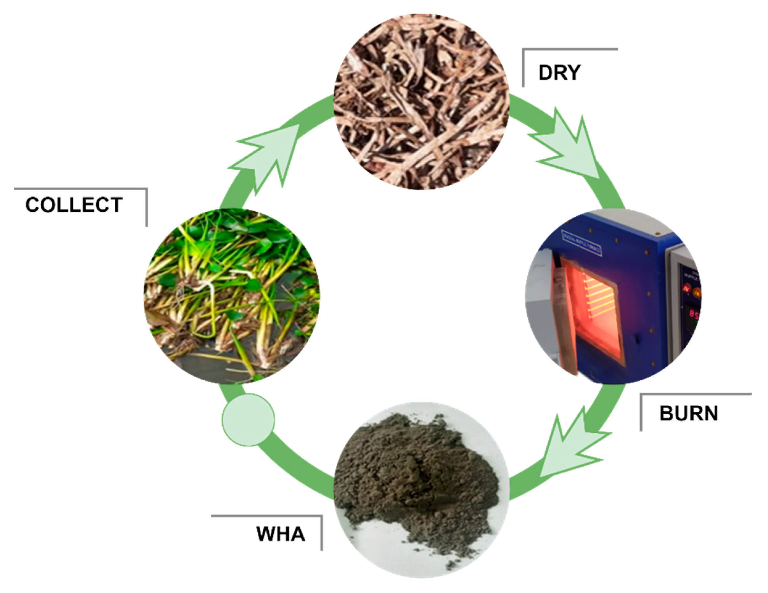 Sustainability 14 15501 g002 Sustainability 14 15501 g002