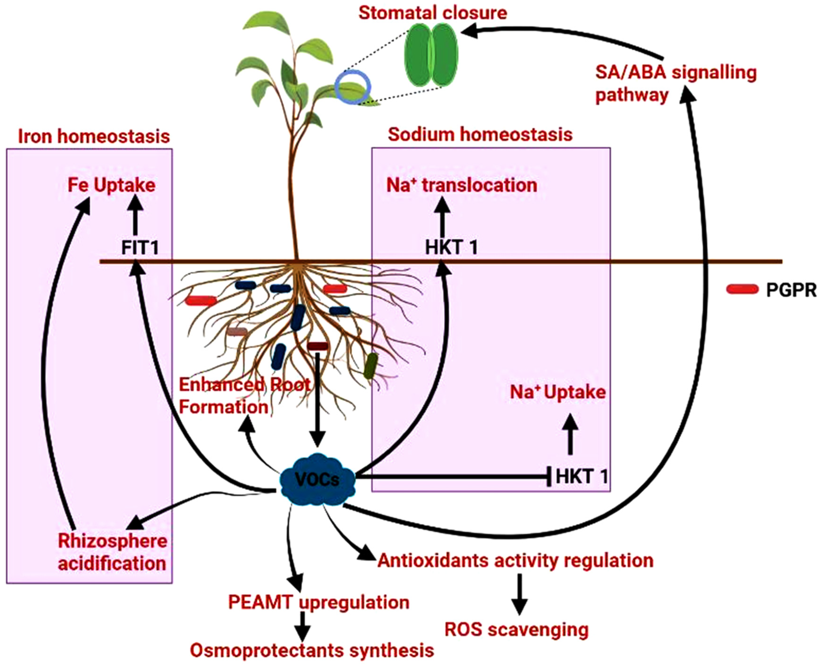 Sustainability 14 15514 g002