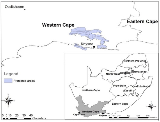 Somerset Mall Map - Retail area - Western Cape, South Africa