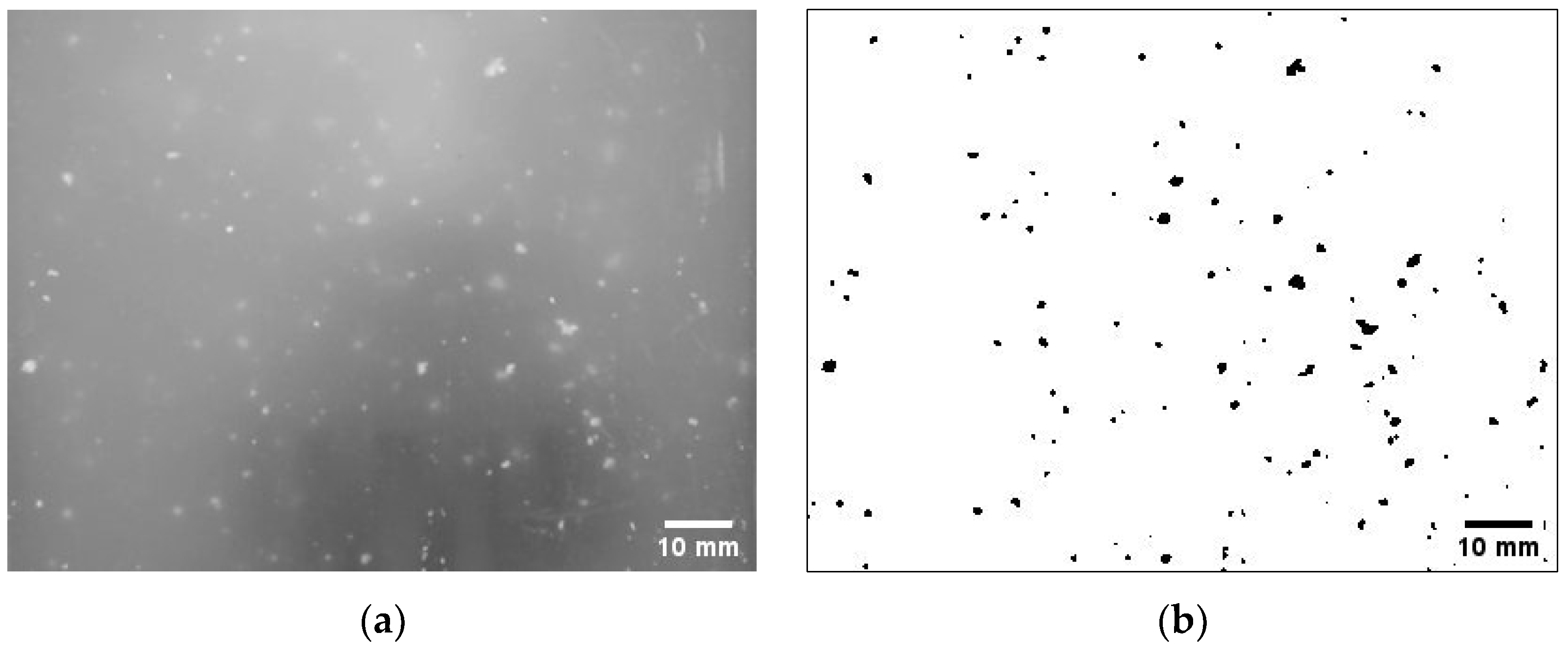 Sustainability 14 15584 g002